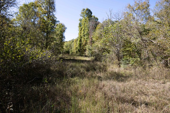 Image for 29.57 Ac +/- Off Hwy PP, Marble Hill MO 63764, MLS # 25071827