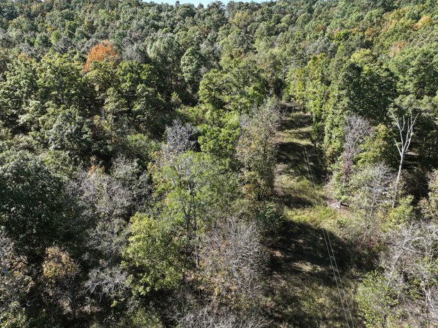 Image for 29.57 Ac +/- Off Hwy PP, Marble Hill MO 63764, MLS # 25071827