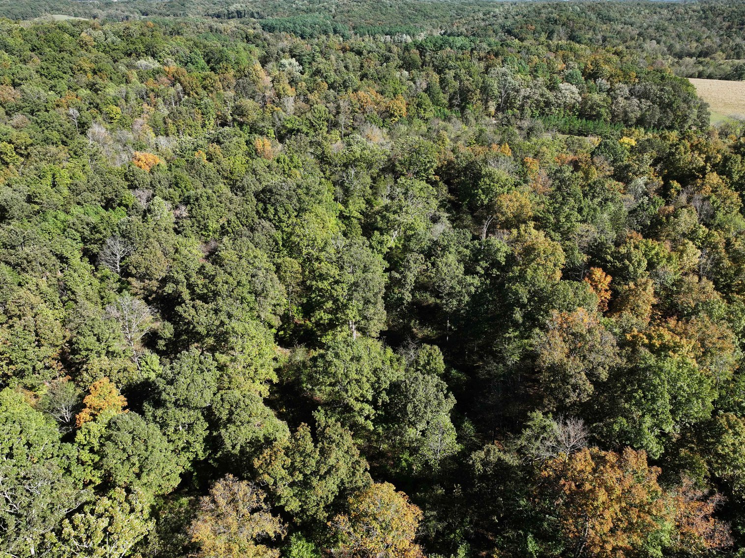 Image for 29.57 Ac +/- Off Hwy PP, Marble Hill MO 63764, MLS # 25071827