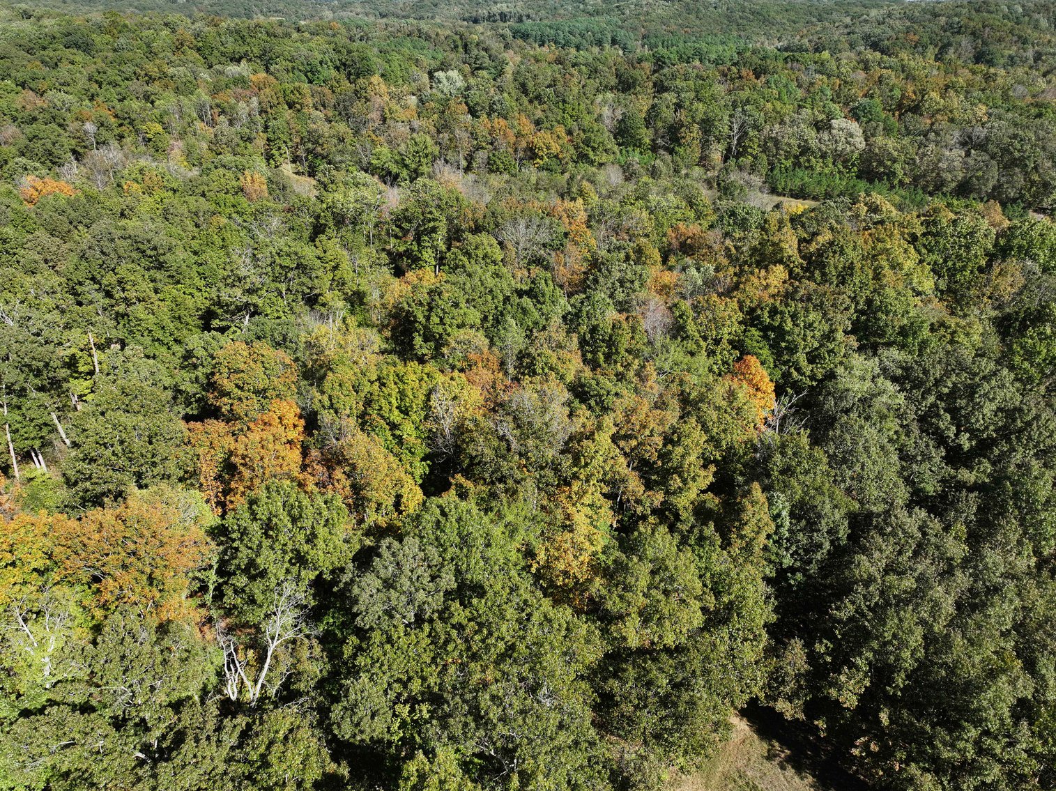 Image for 29.57 Ac +/- Off Hwy PP, Marble Hill MO 63764, MLS # 25071827