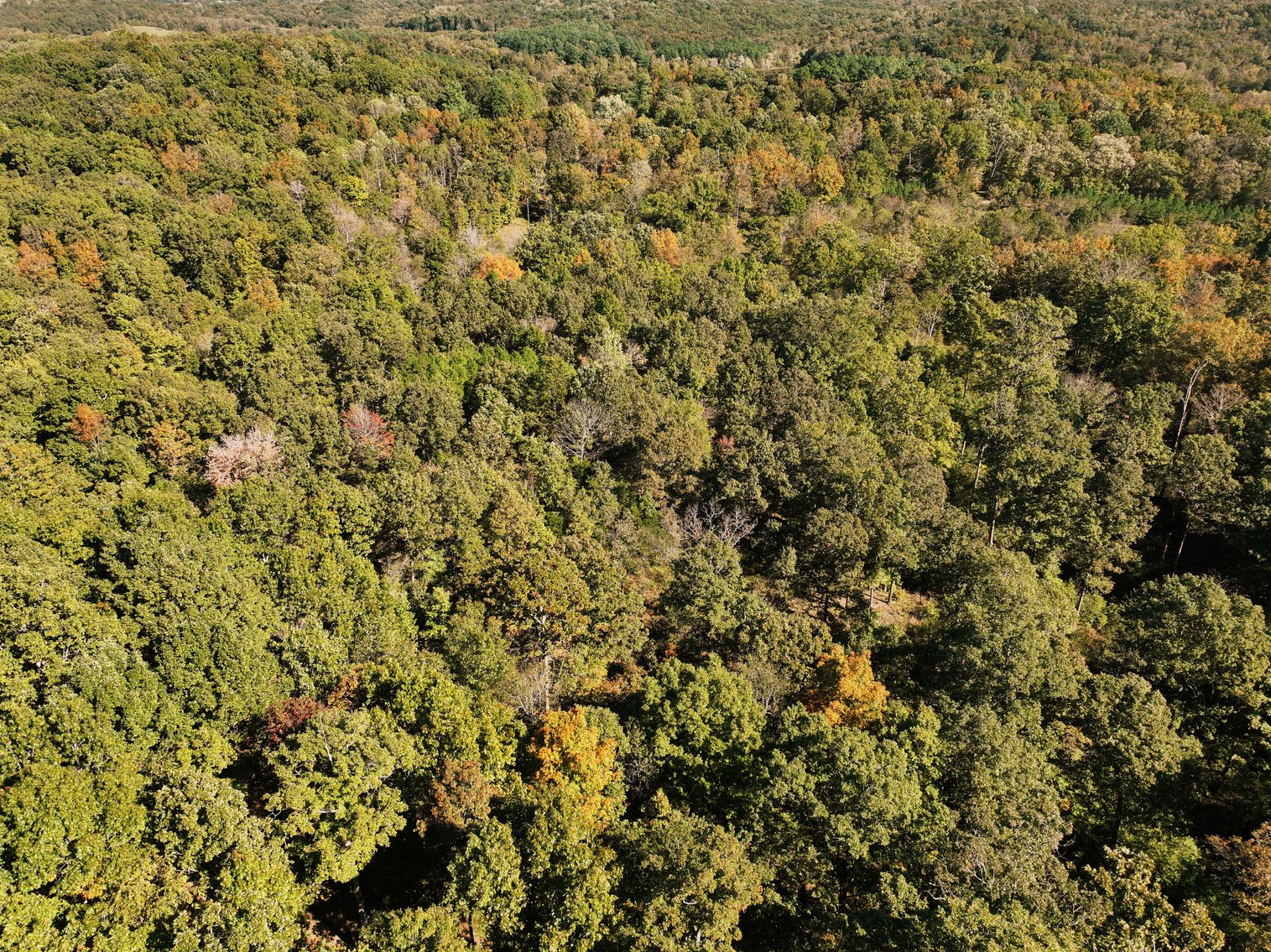 Image for 29.57 Ac +/- Off Hwy PP, Marble Hill MO 63764, MLS # 25071827