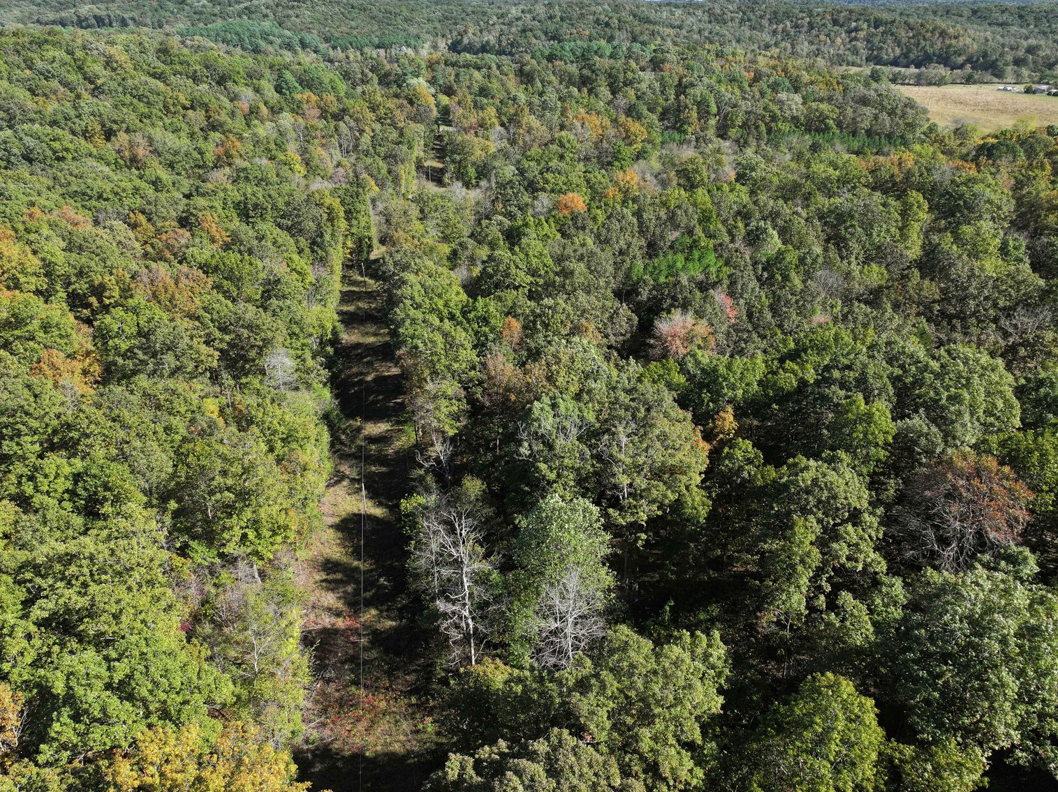 Image for 29.57 Ac +/- Off Hwy PP, Marble Hill MO 63764, MLS # 25071827