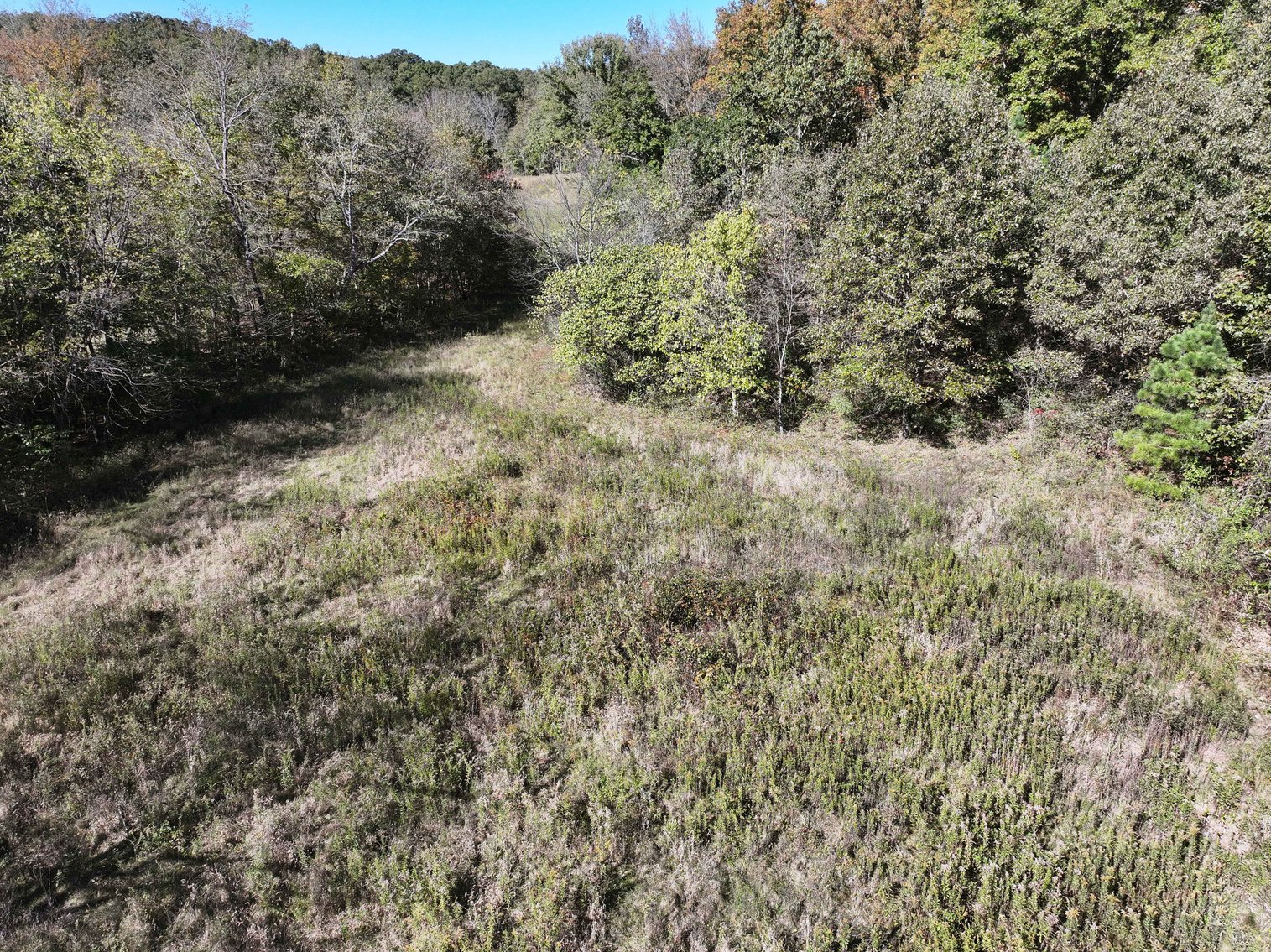 Image for 29.57 Ac +/- Off Hwy PP, Marble Hill MO 63764, MLS # 25071827