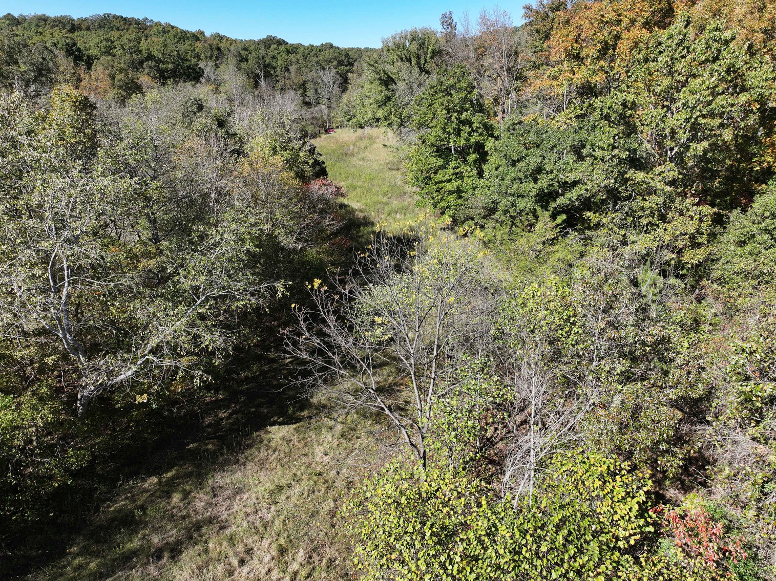 Image for 29.57 Ac +/- Off Hwy PP, Marble Hill MO 63764, MLS # 25071827