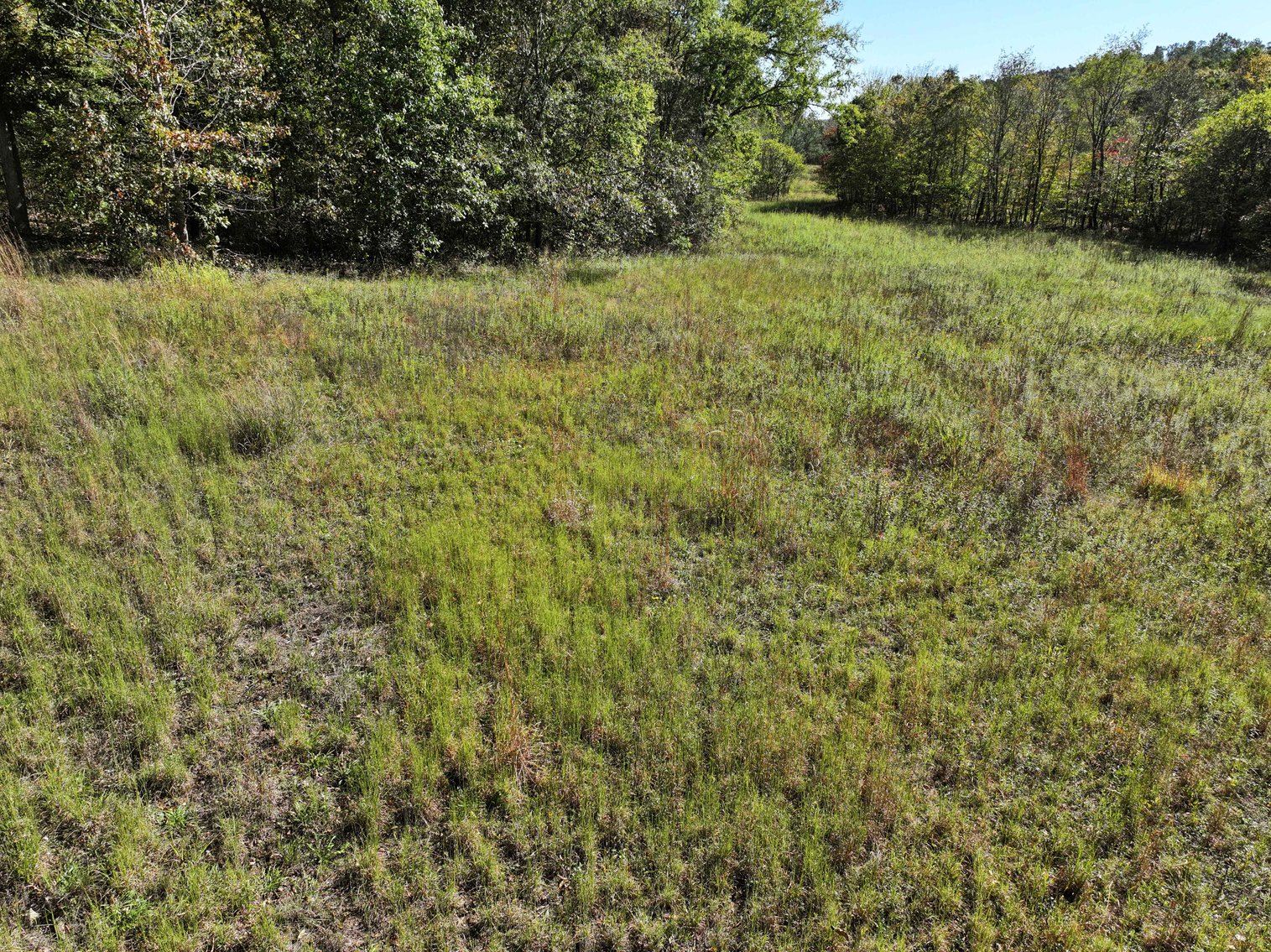 Image for 29.57 Ac +/- Off Hwy PP, Marble Hill MO 63764, MLS # 25071827