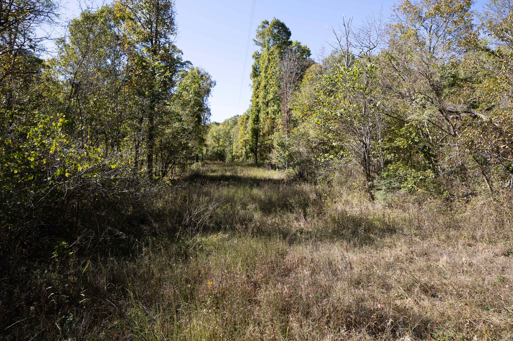 Image for 29.57 Ac +/- Off Hwy PP, Marble Hill MO 63764, MLS # 25071827