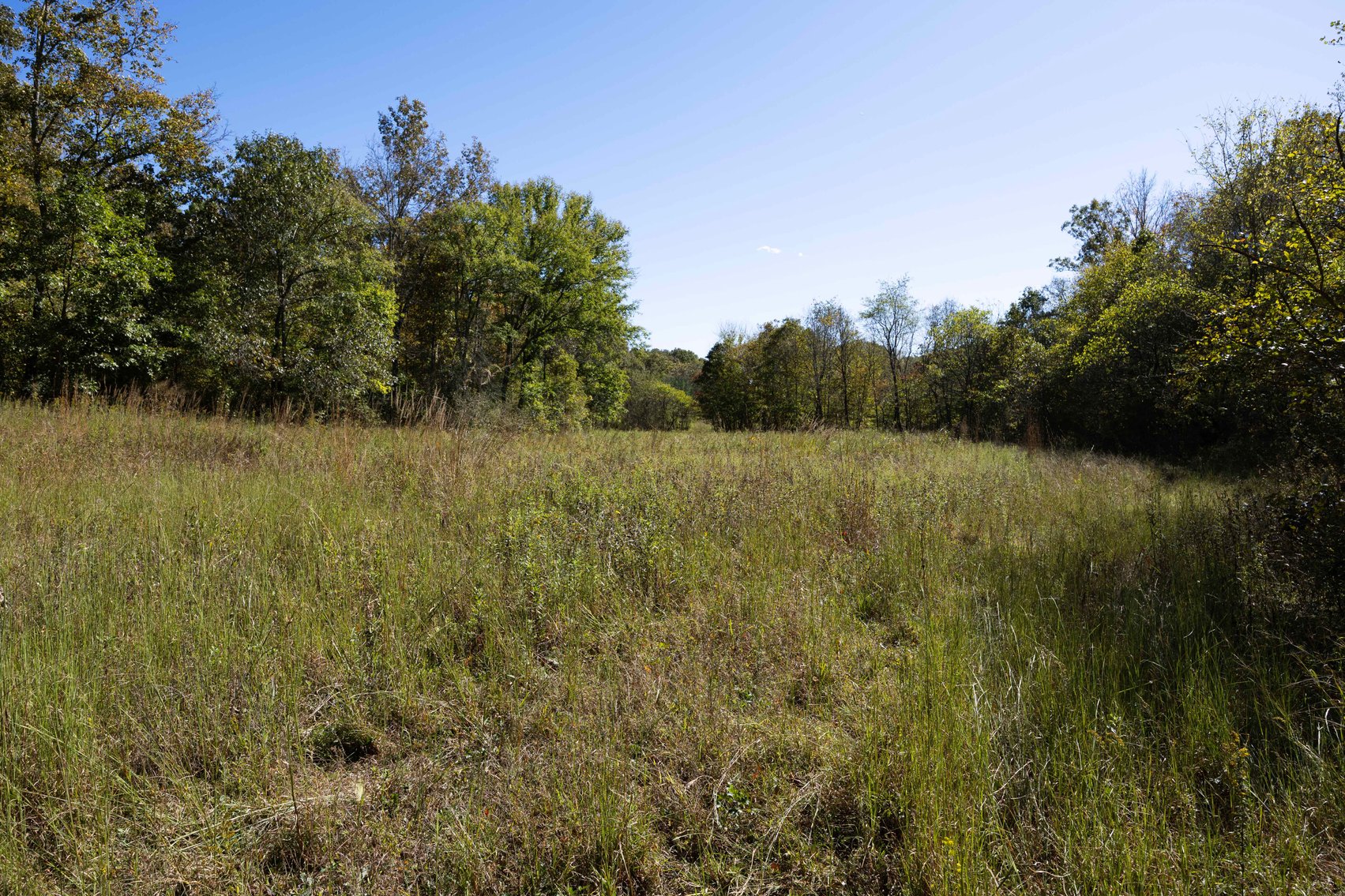 Image for 29.57 Ac +/- Off Hwy PP, Marble Hill MO 63764, MLS # 25071827