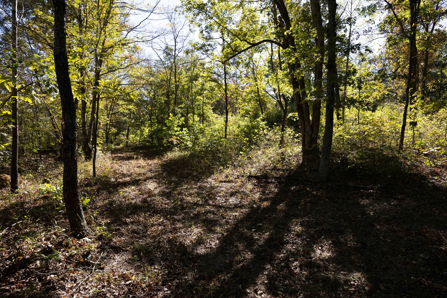 Image for 29.57 Ac +/- Off Hwy PP, Marble Hill MO 63764, MLS # 25071827
