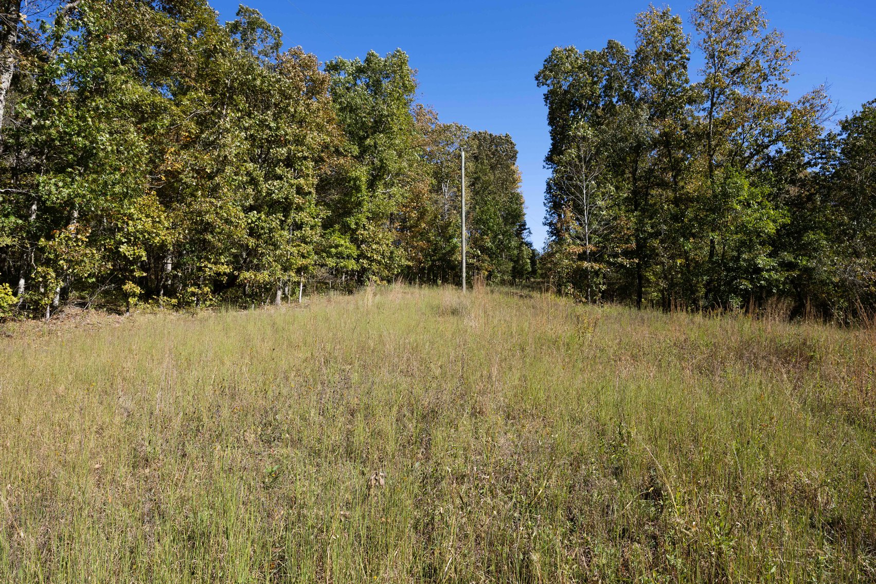Image for 29.57 Ac +/- Off Hwy PP, Marble Hill MO 63764, MLS # 25071827