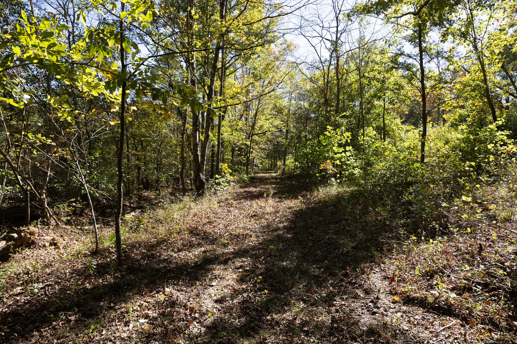 Image for 29.57 Ac +/- Off Hwy PP, Marble Hill MO 63764, MLS # 25071827