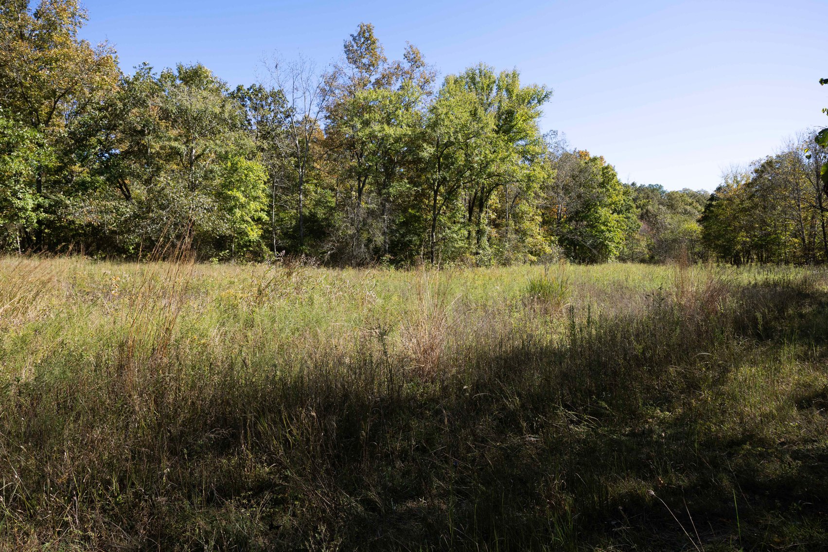 Image for 29.57 Ac +/- Off Hwy PP, Marble Hill MO 63764, MLS # 25071827