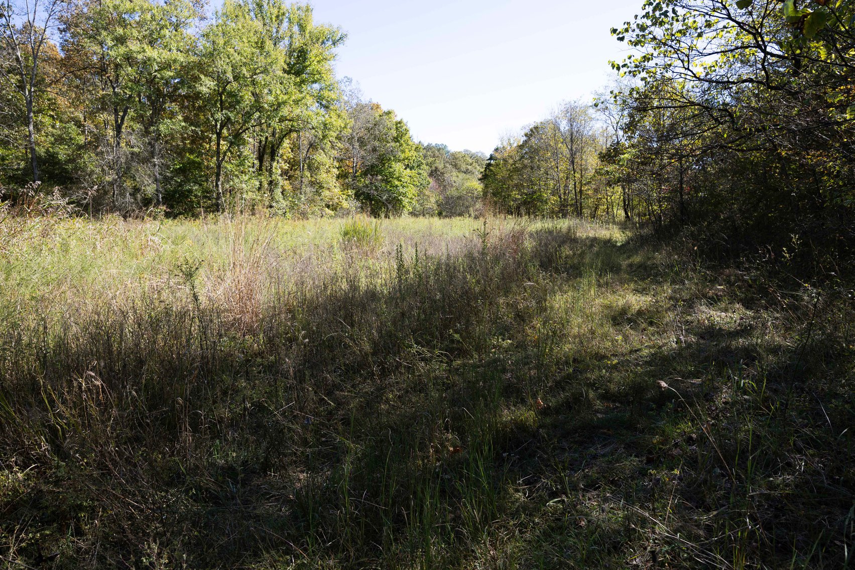 Image for 29.57 Ac +/- Off Hwy PP, Marble Hill MO 63764, MLS # 25071827