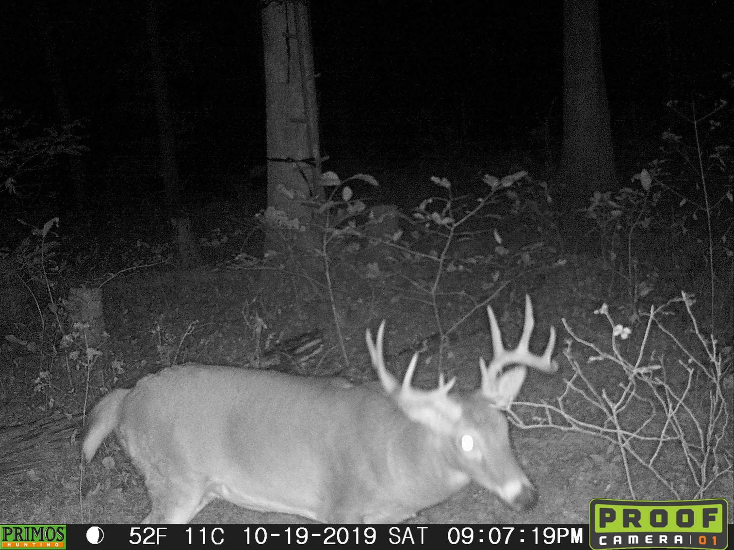 Image for 29.57 Ac +/- Off Hwy PP, Marble Hill MO 63764, MLS # 25071827