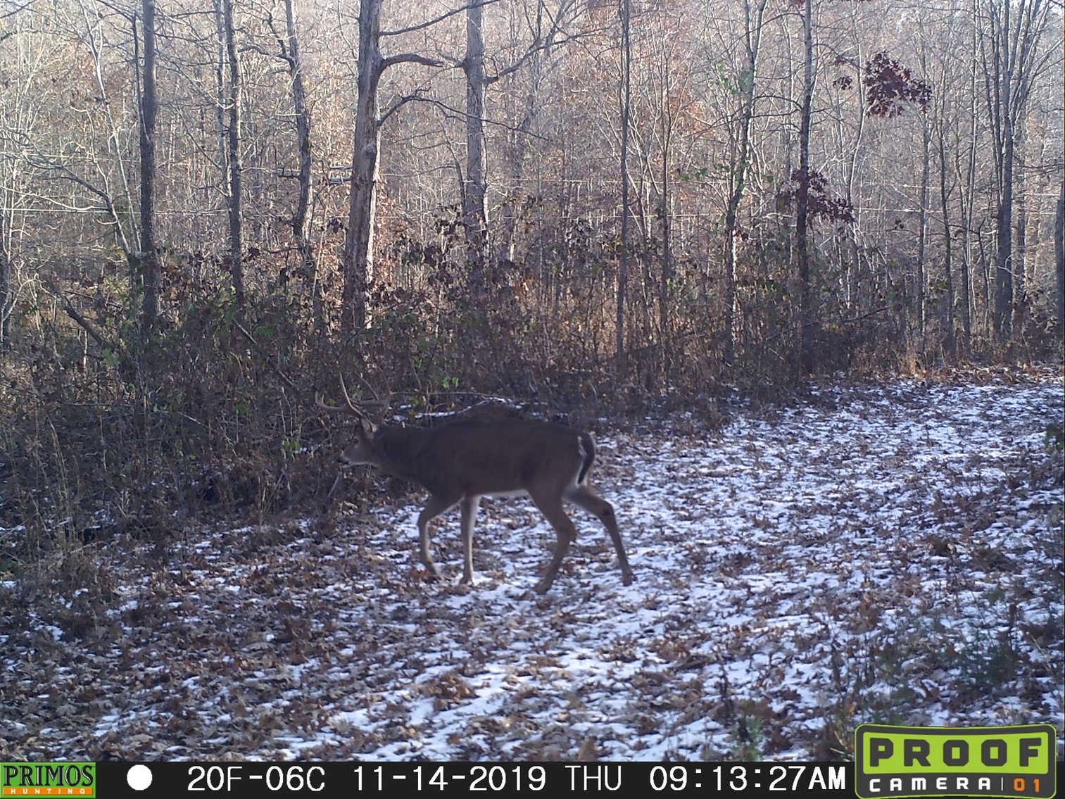 Image for 29.57 Ac +/- Off Hwy PP, Marble Hill MO 63764, MLS # 25071827