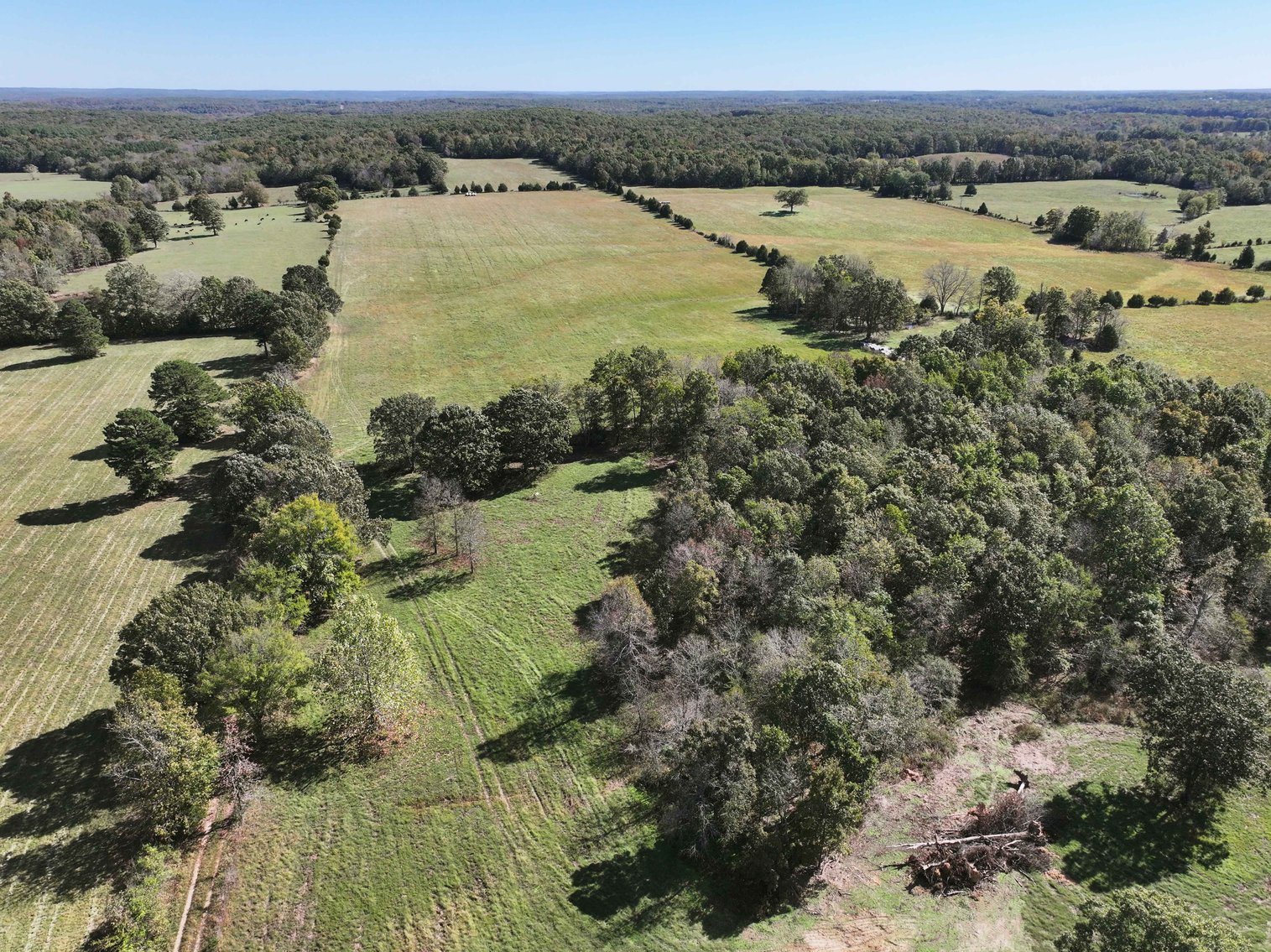 Image for 174.01 Ac +/-, Off Hwy DD, Glen Allen MO 63655, MLS# 25071597