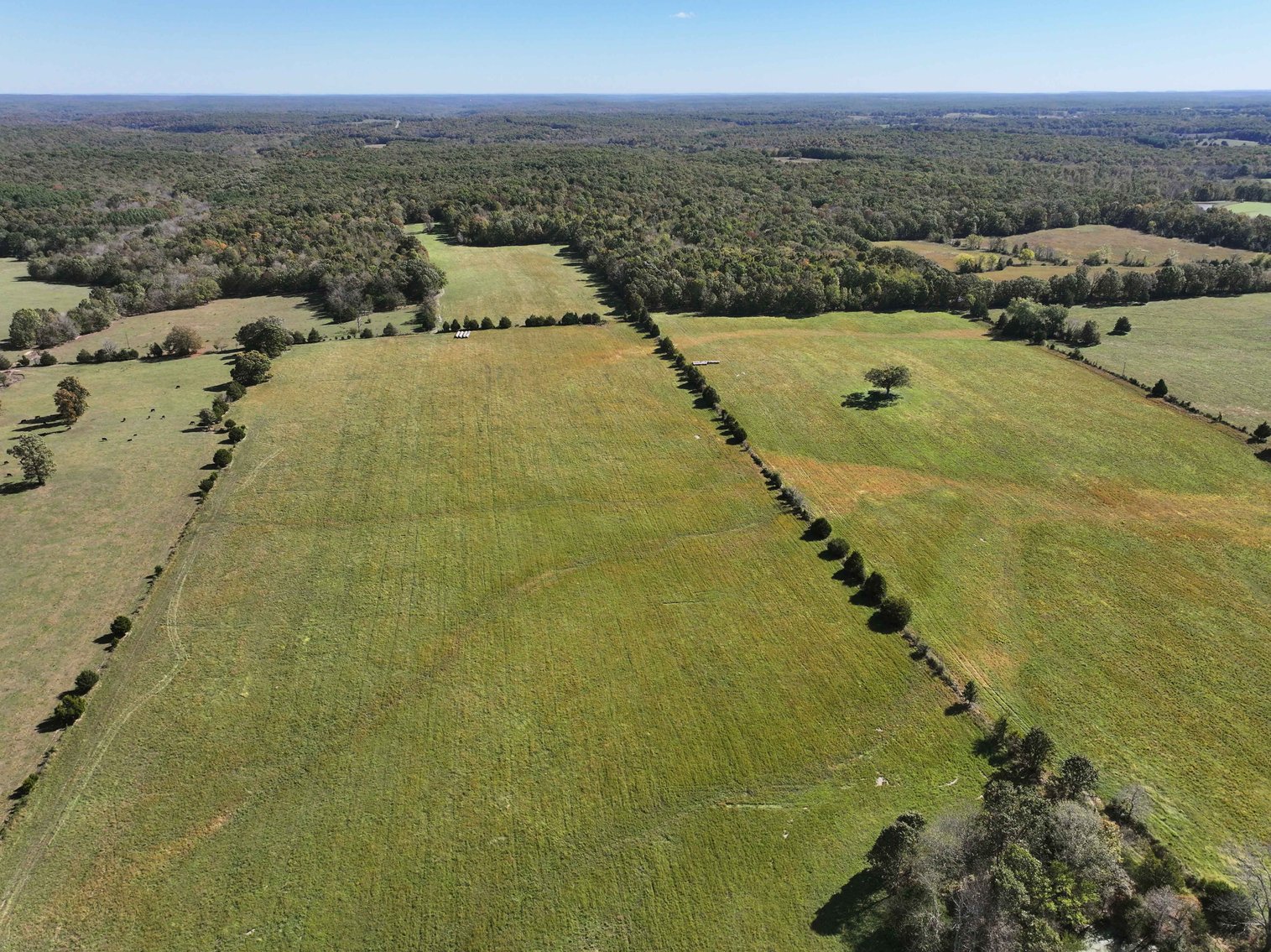 Image for 174.01 Ac +/-, Off Hwy DD, Glen Allen MO 63655, MLS# 25071597