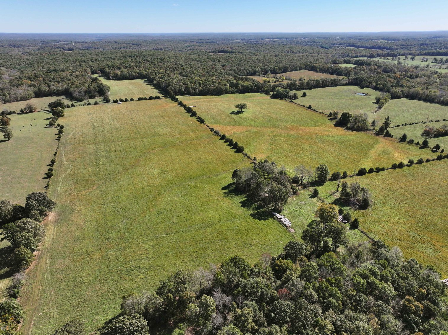 Image for 174.01 Ac +/-, Off Hwy DD, Glen Allen MO 63655, MLS# 25071597