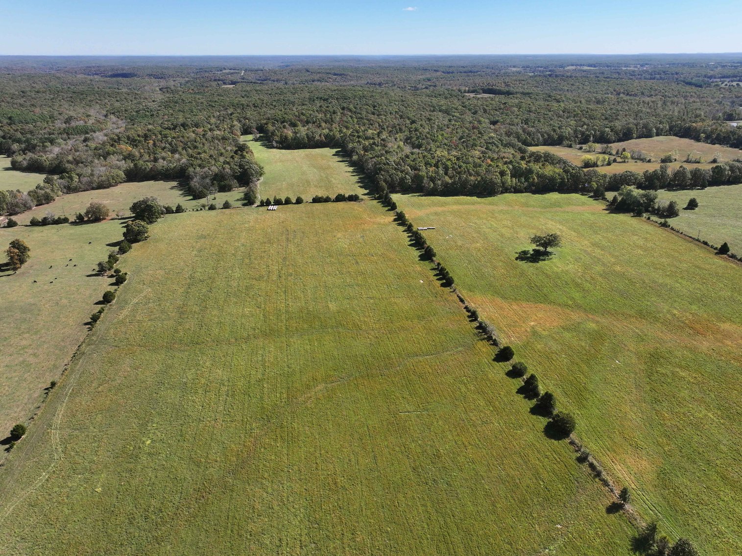 Image for 174.01 Ac +/-, Off Hwy DD, Glen Allen MO 63655, MLS# 25071597