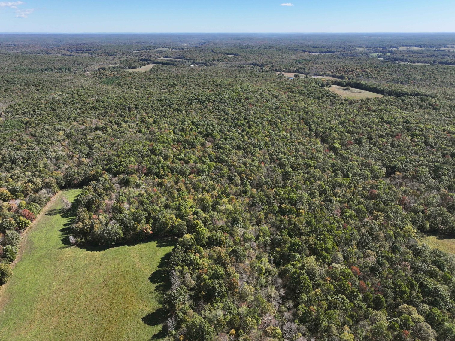 Image for 174.01 Ac +/-, Off Hwy DD, Glen Allen MO 63655, MLS# 25071597