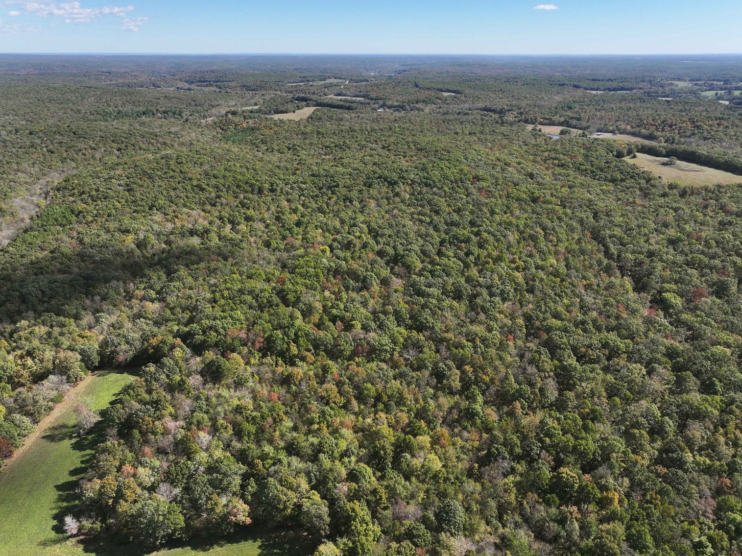 Image for 174.01 Ac +/-, Off Hwy DD, Glen Allen MO 63655, MLS# 25071597