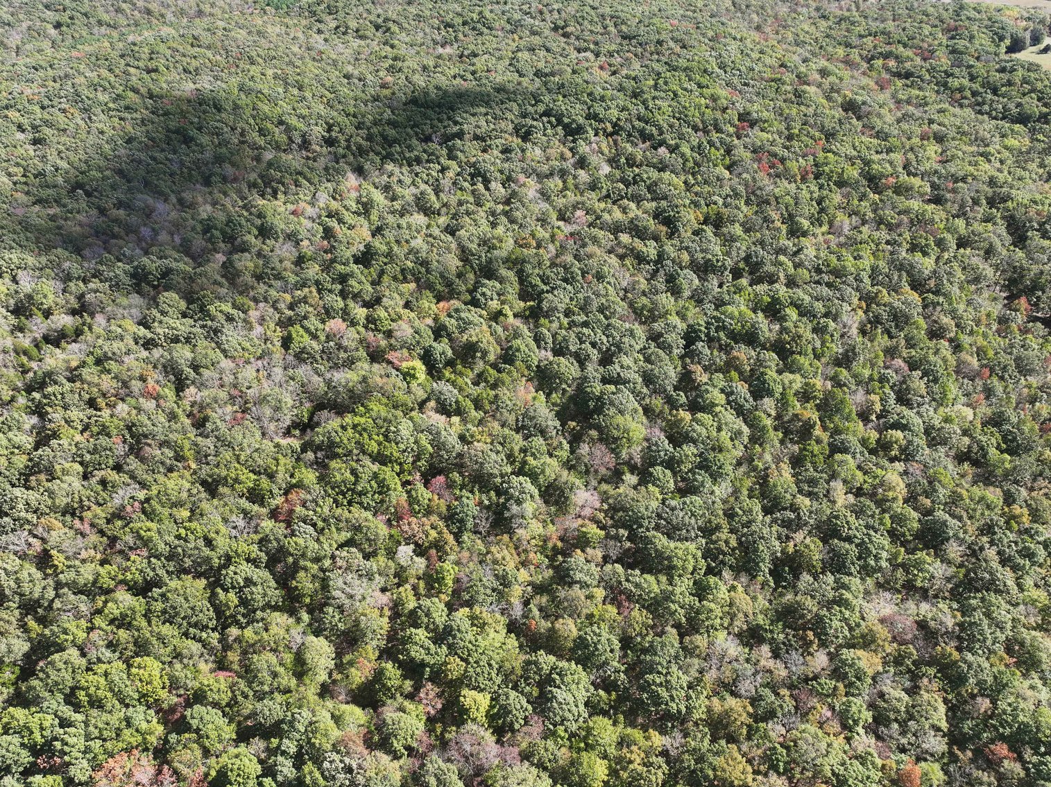 Image for 174.01 Ac +/-, Off Hwy DD, Glen Allen MO 63655, MLS# 25071597