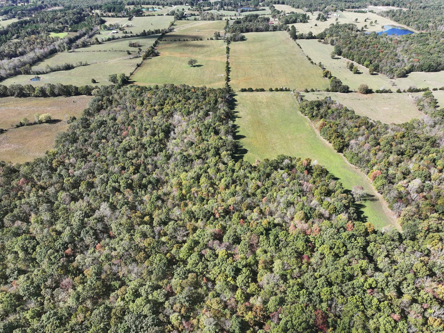 Image for 174.01 Ac +/-, Off Hwy DD, Glen Allen MO 63655, MLS# 25071597