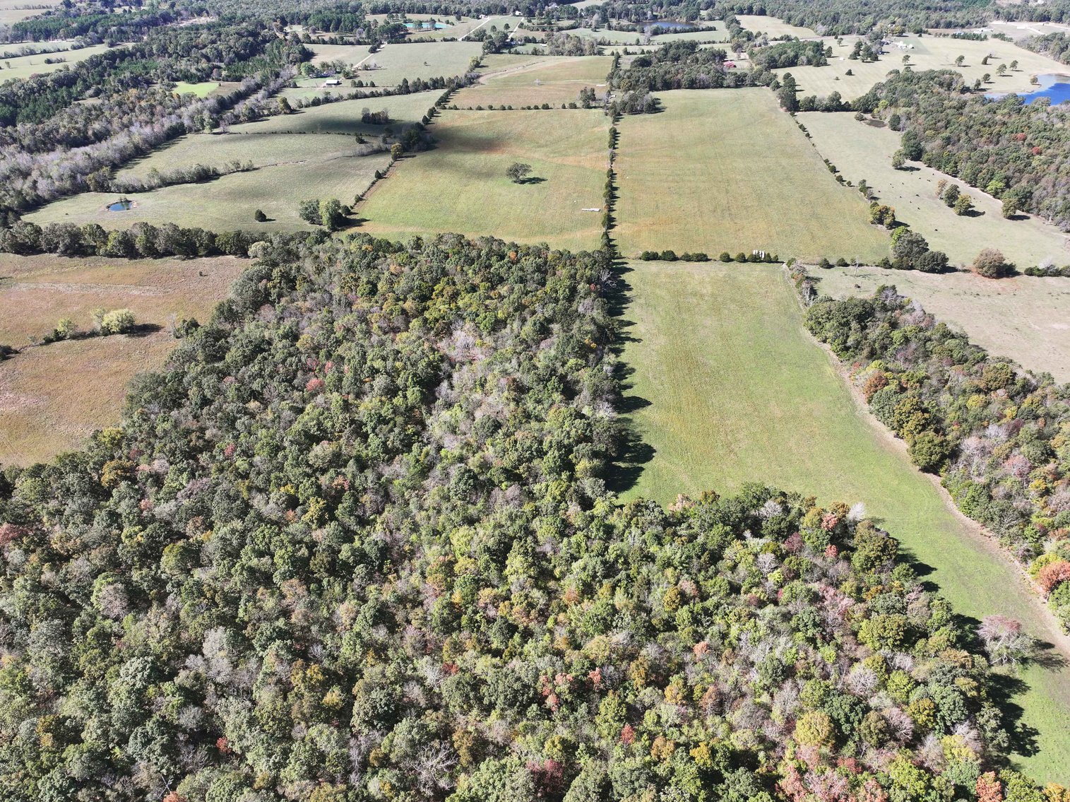 Image for 174.01 Ac +/-, Off Hwy DD, Glen Allen MO 63655, MLS# 25071597