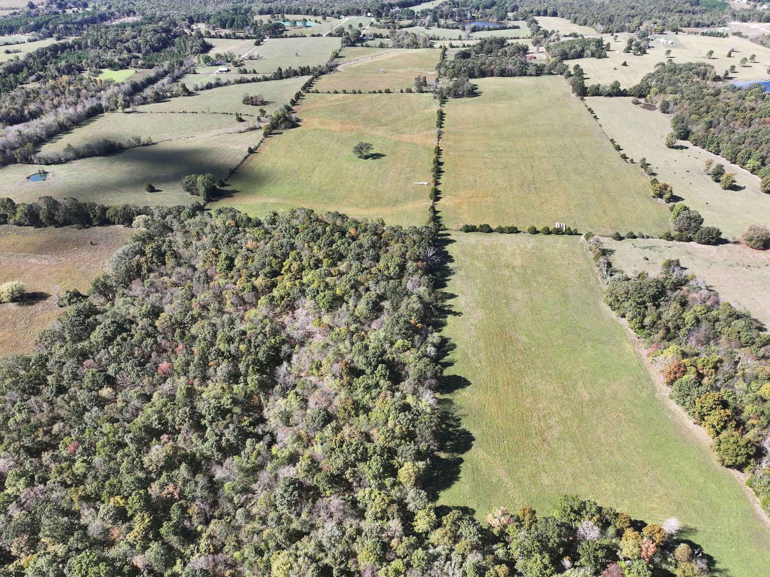 Image for 174.01 Ac +/-, Off Hwy DD, Glen Allen MO 63655, MLS# 25071597