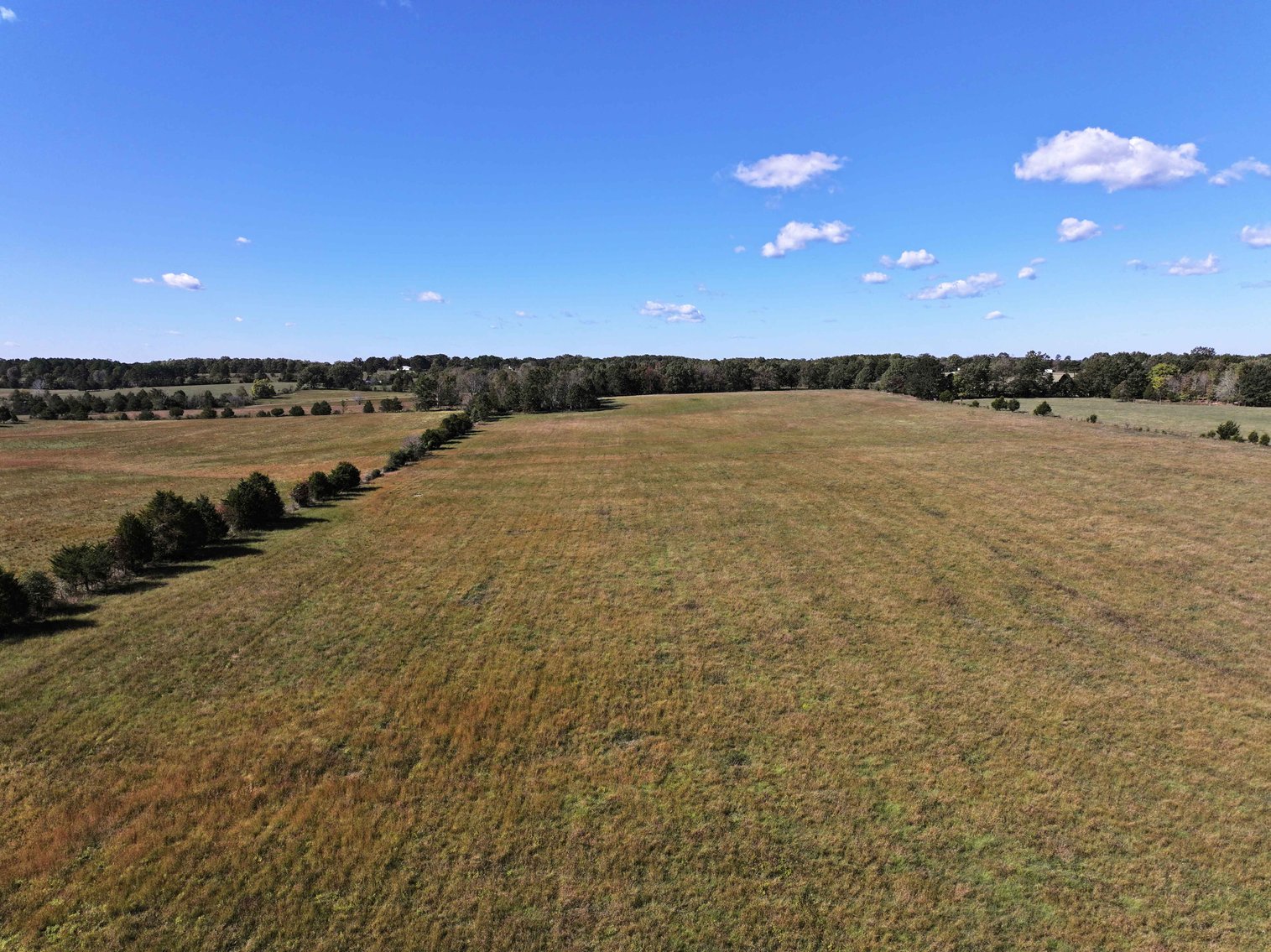 Image for 174.01 Ac +/-, Off Hwy DD, Glen Allen MO 63655, MLS# 25071597