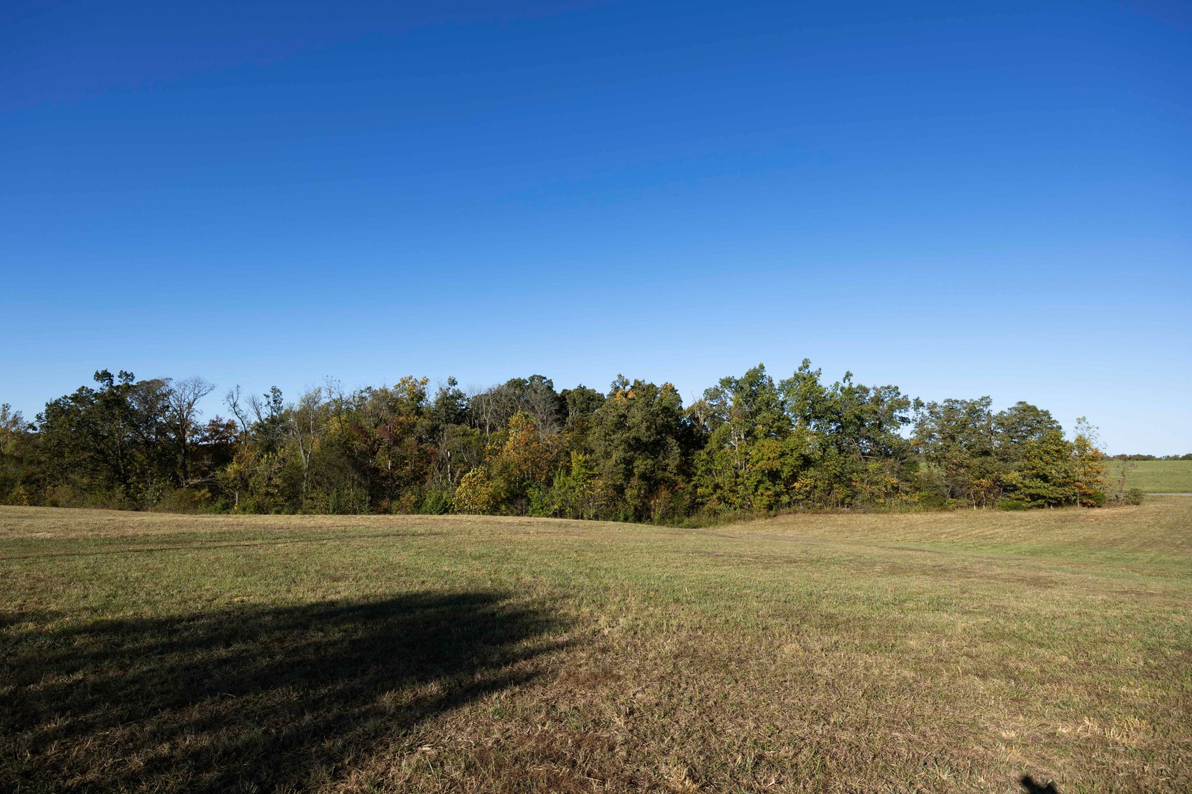 Image for Lot 11 Tyler Branch, Perryville MO 63775, MLS# 25071113