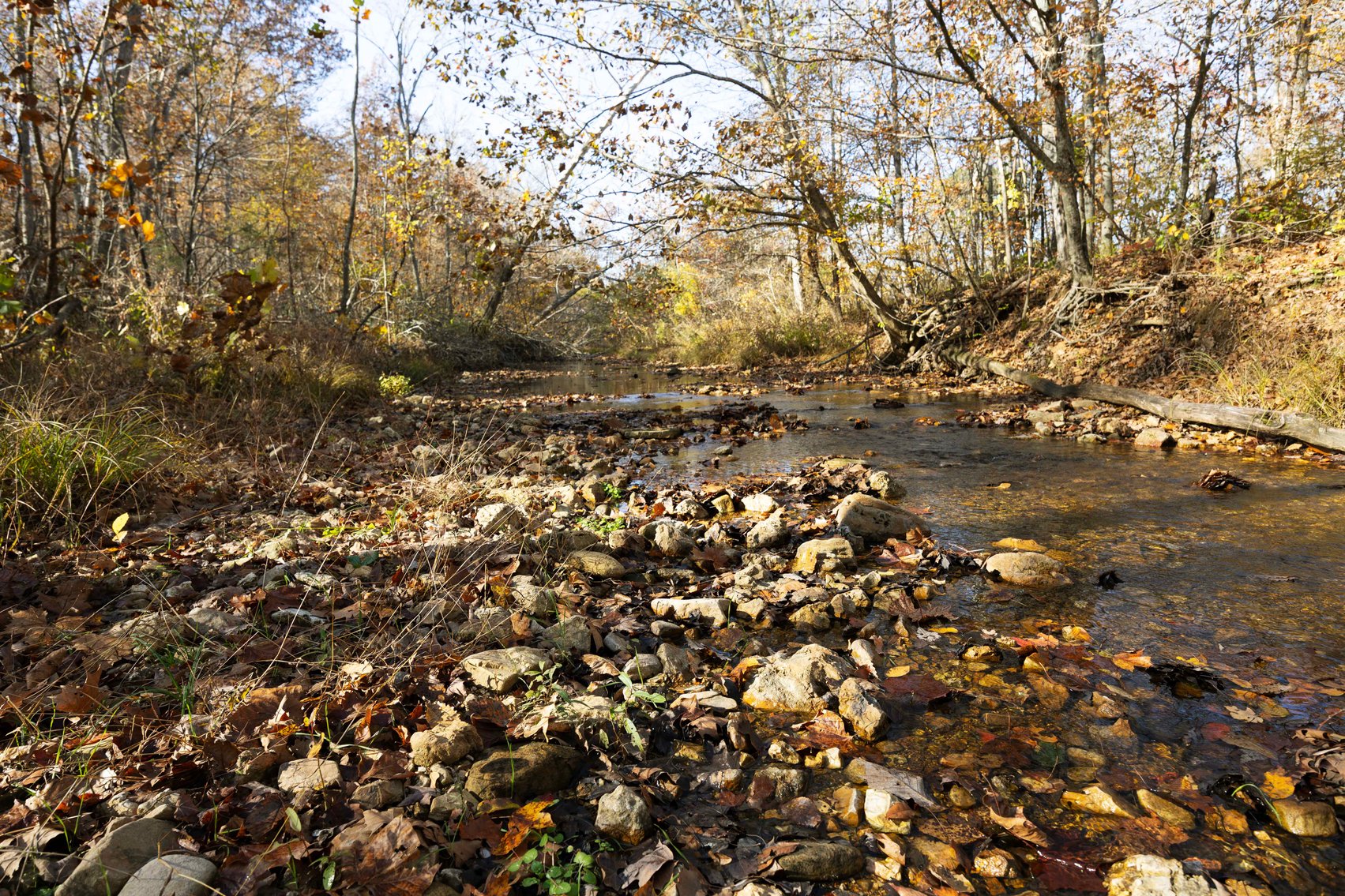 Image for 25.5 Acres +/-, Tract 1 Off BCR 930, Patton Missouri 63662, MLS #25075217