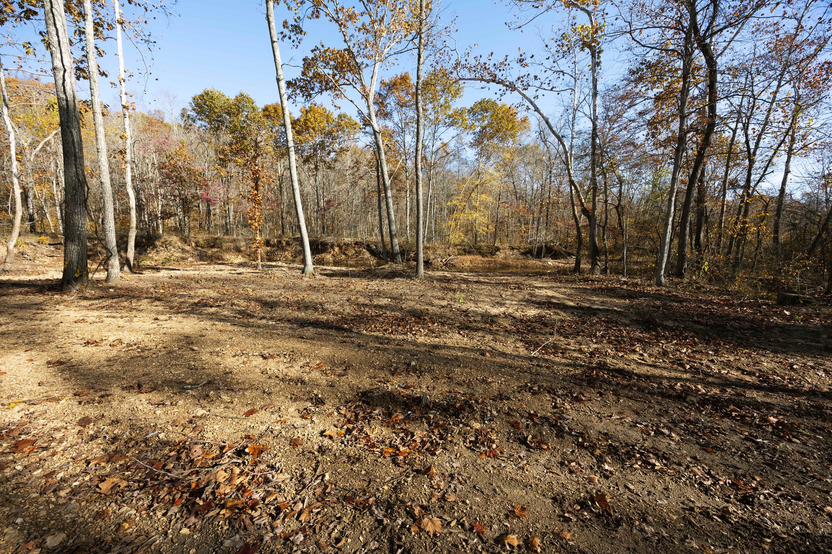Image for 25.5 Acres +/-, Tract 1 Off BCR 930, Patton Missouri 63662, MLS #25075217
