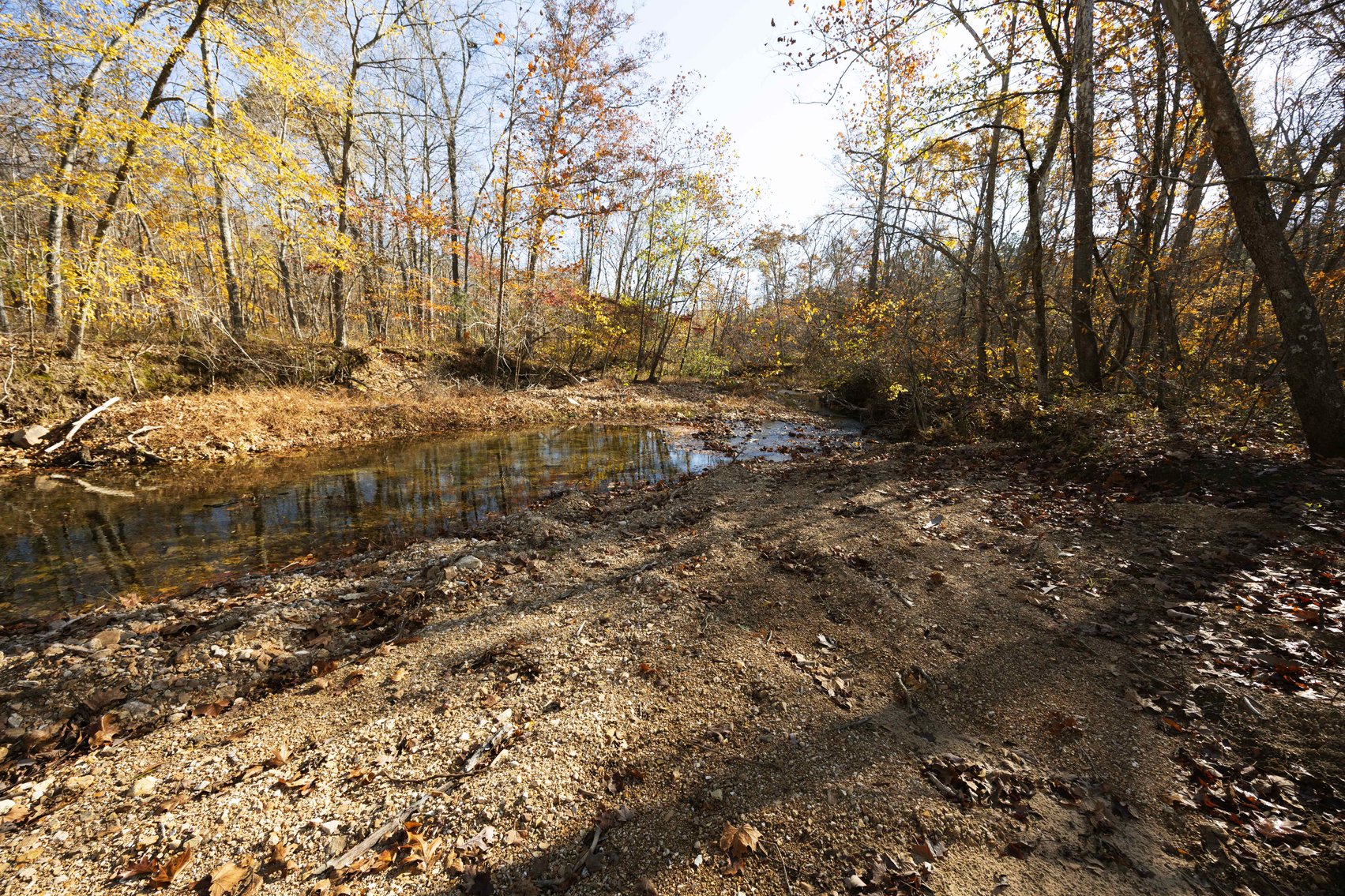 Image for 25.5 Acres +/-, Tract 1 Off BCR 930, Patton Missouri 63662, MLS #25075217