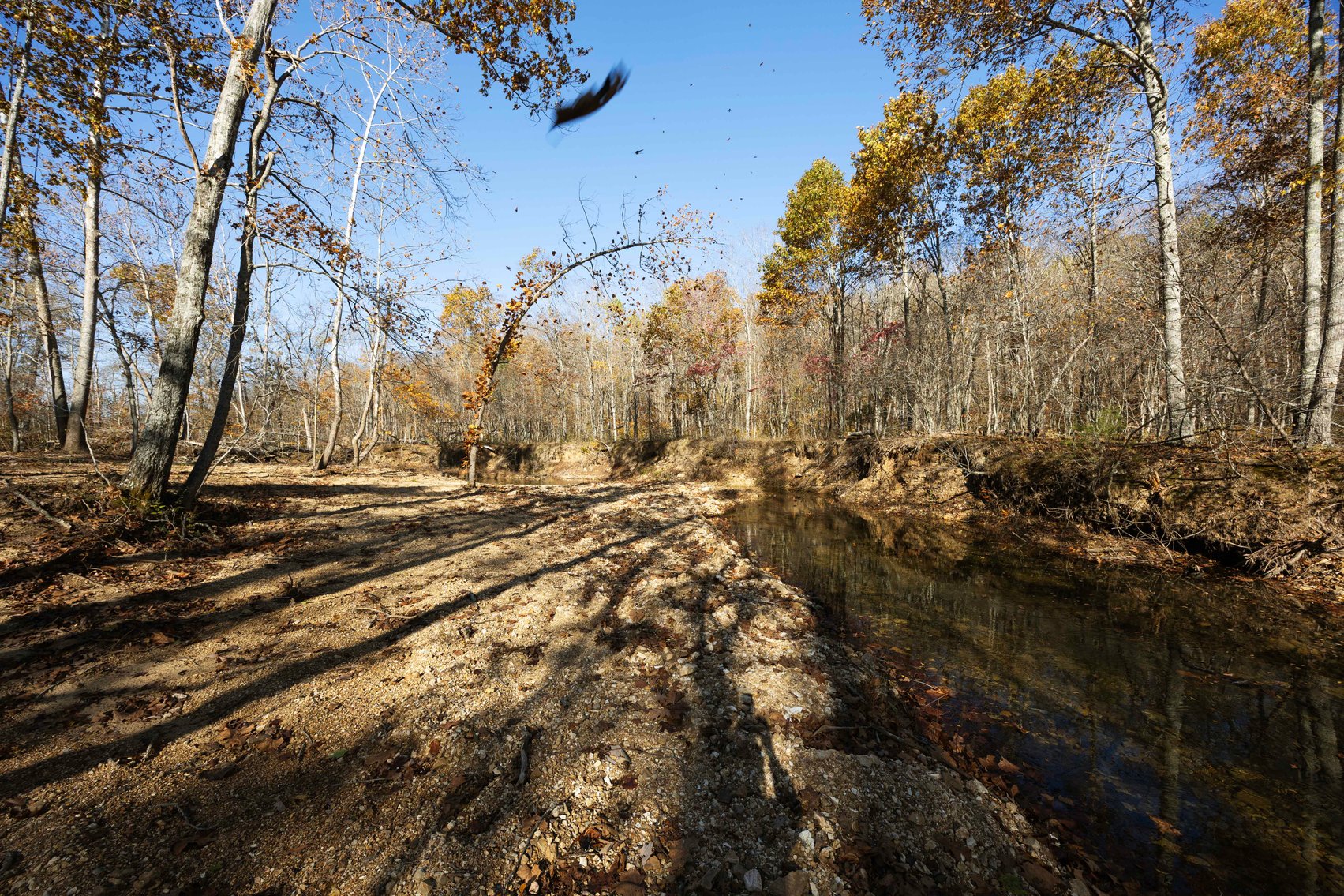 Image for 25.5 Acres +/-, Tract 1 Off BCR 930, Patton Missouri 63662, MLS #25075217