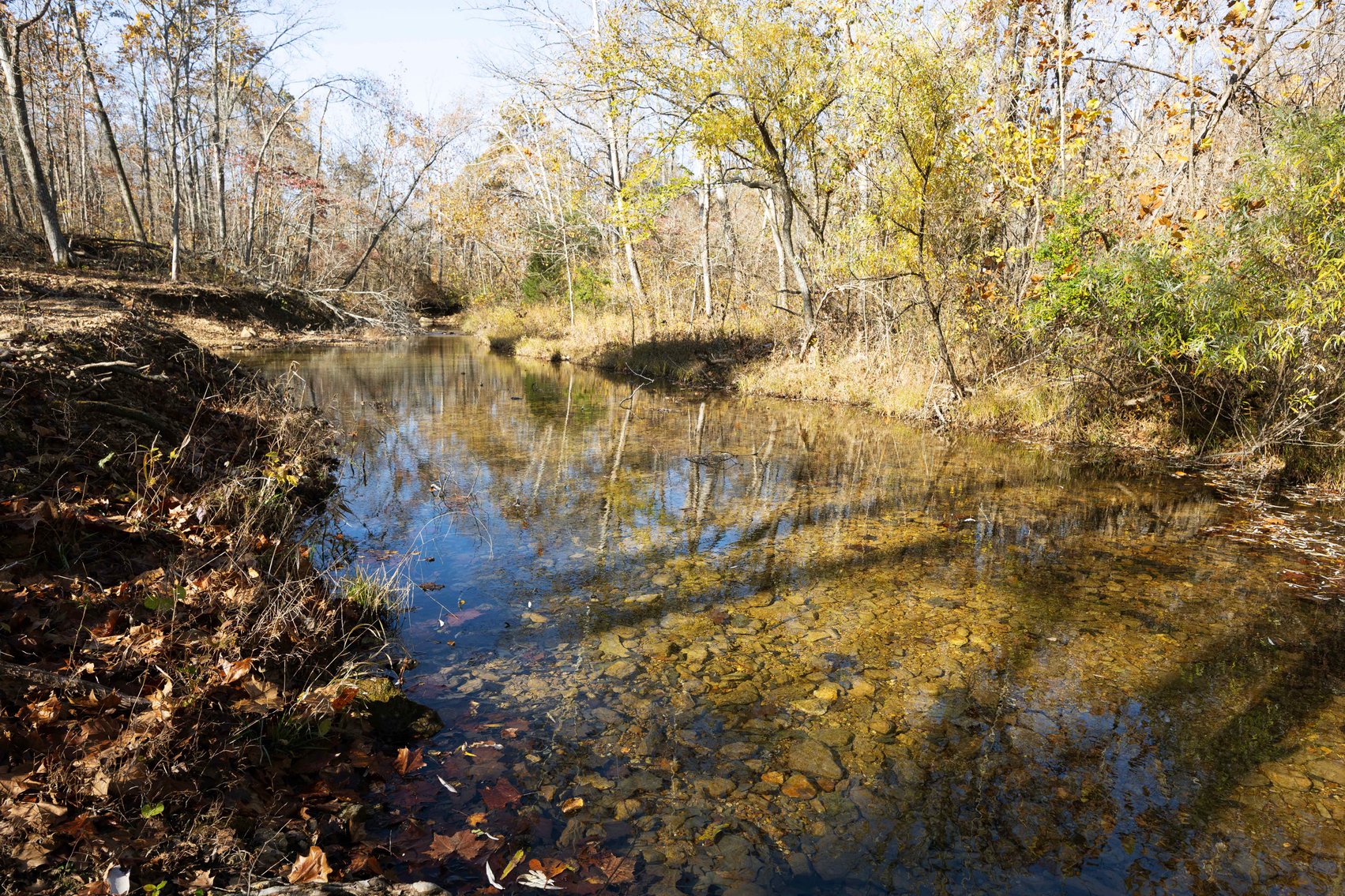 Image for 25.5 Acres +/-, Tract 1 Off BCR 930, Patton Missouri 63662, MLS #25075217