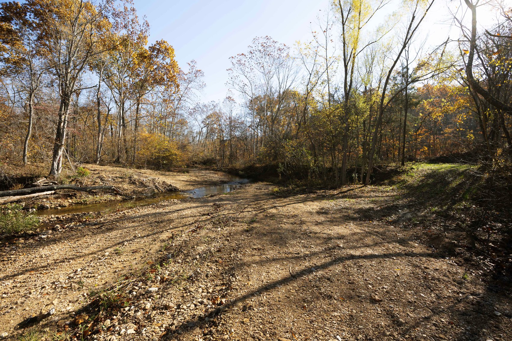 Image for 25.5 Acres +/-, Tract 1 Off BCR 930, Patton Missouri 63662, MLS #25075217