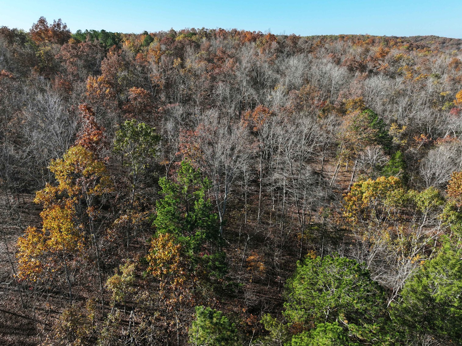 Image for 29.0 +/- Acres, Tract 2 Off BCR 930, Patton MO 63662, MLS # 25075221