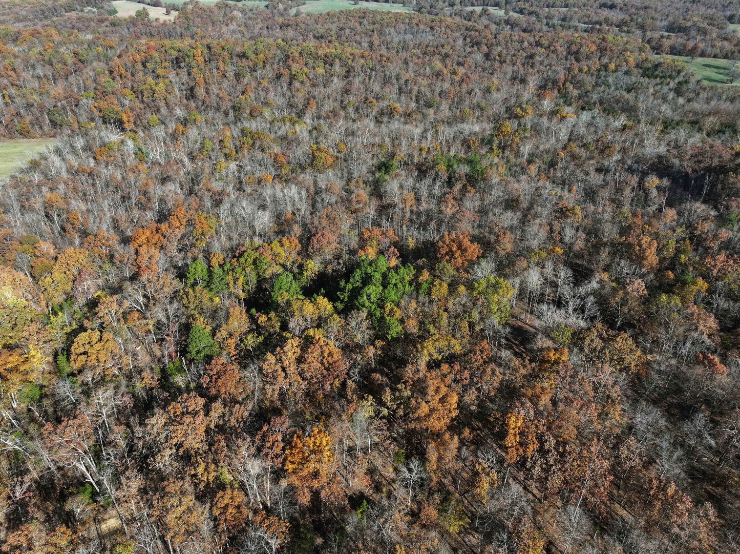 Image for 29.0 +/- Acres, Tract 2 Off BCR 930, Patton MO 63662, MLS # 25075221