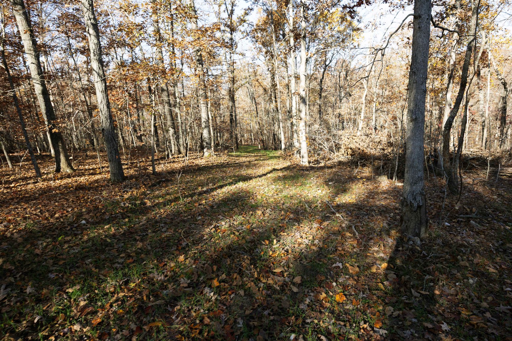 Image for 29.0 +/- Acres, Tract 2 Off BCR 930, Patton MO 63662, MLS # 25075221