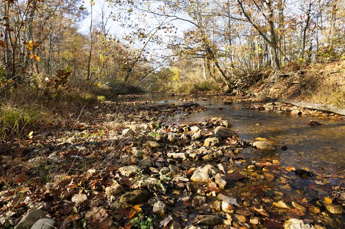 Image for 29.0 +/- Acres, Tract 2 Off BCR 930, Patton MO 63662, MLS # 25075221