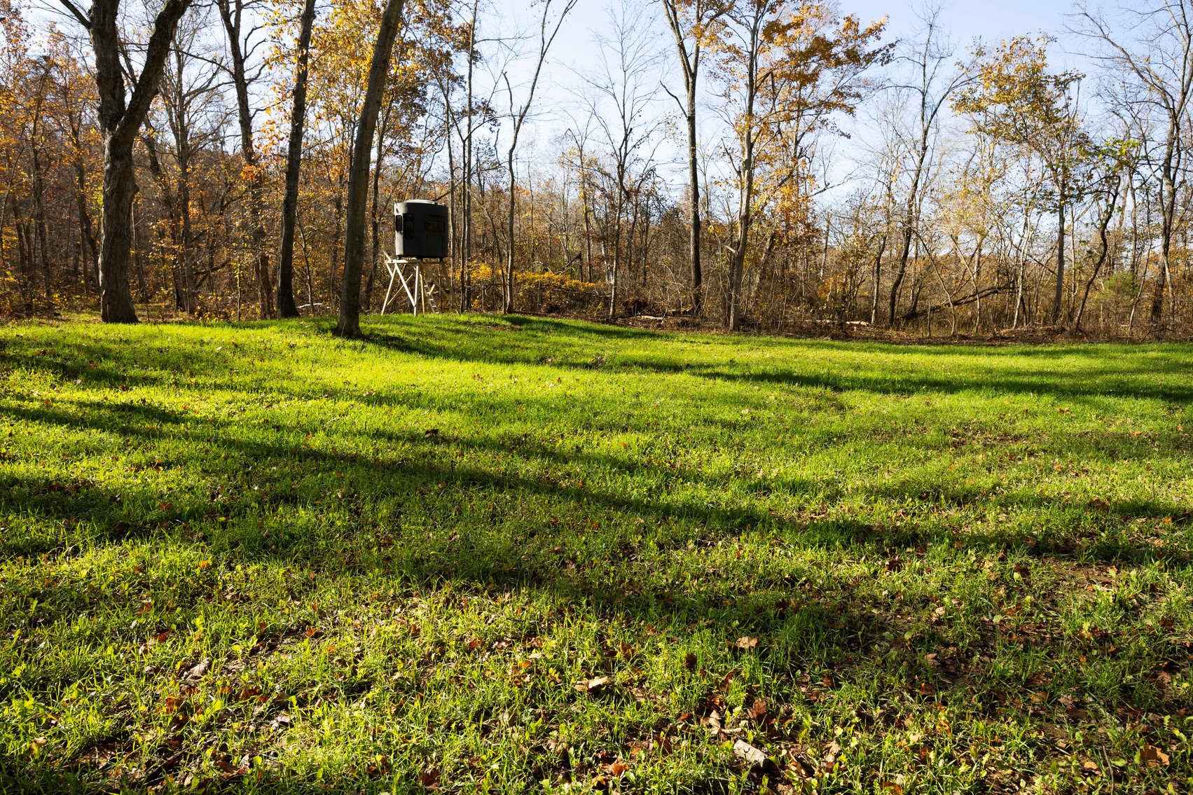 Image for 29.0 +/- Acres, Tract 2 Off BCR 930, Patton MO 63662, MLS # 25075221