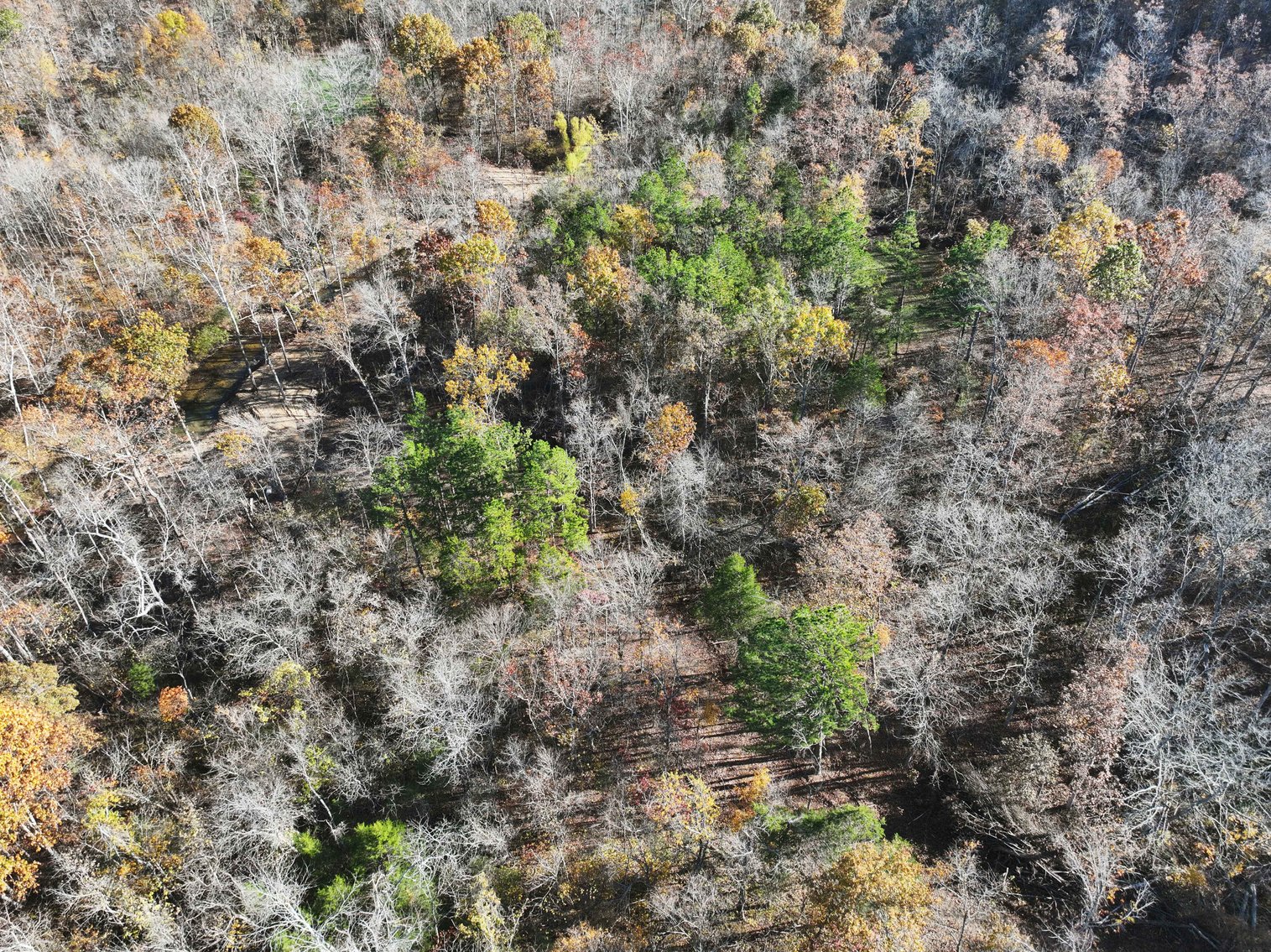 Image for 29.0 +/- Acres, Tract 2 Off BCR 930, Patton MO 63662, MLS # 25075221