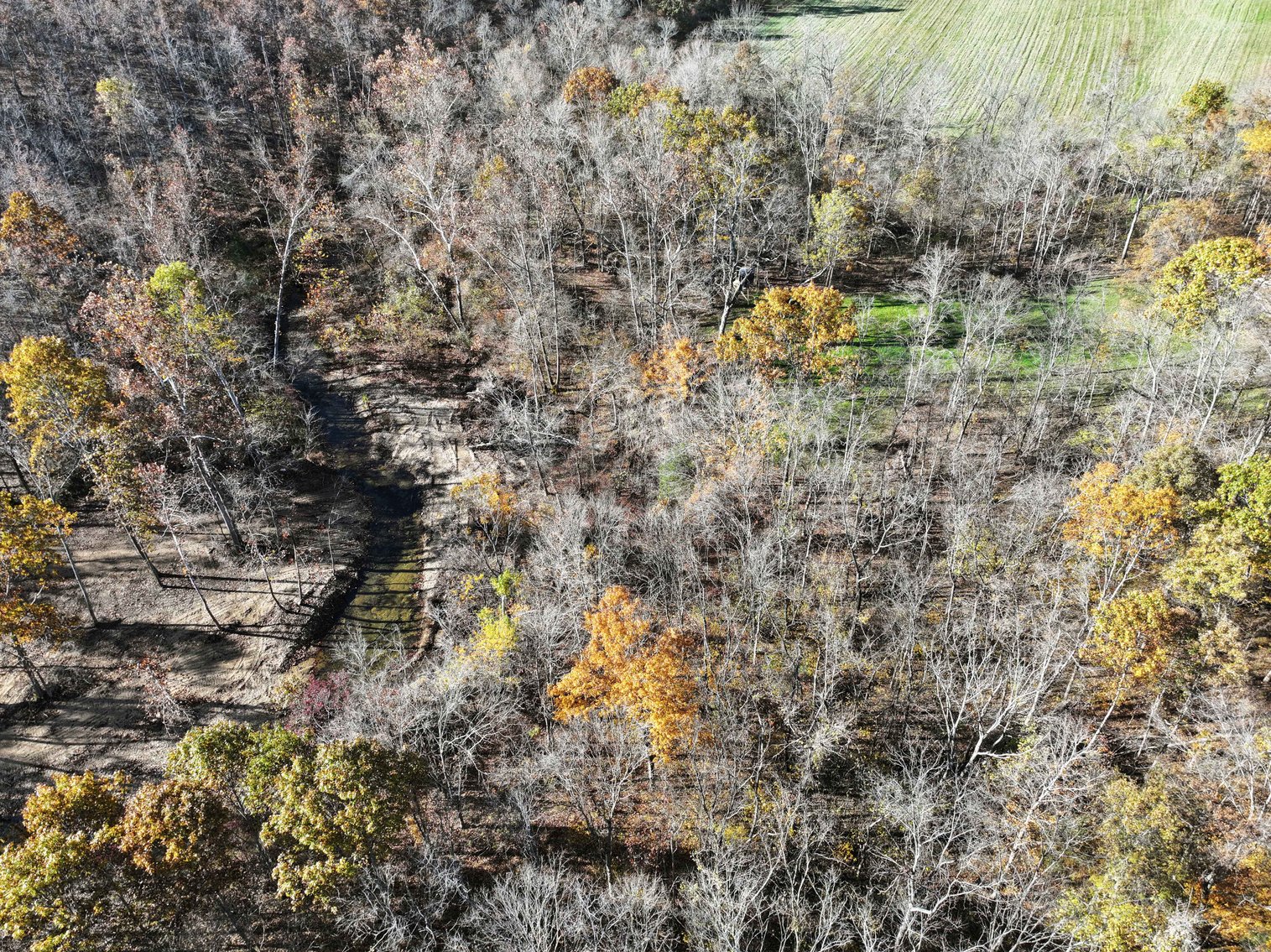 Image for 29.0 +/- Acres, Tract 2 Off BCR 930, Patton MO 63662, MLS # 25075221