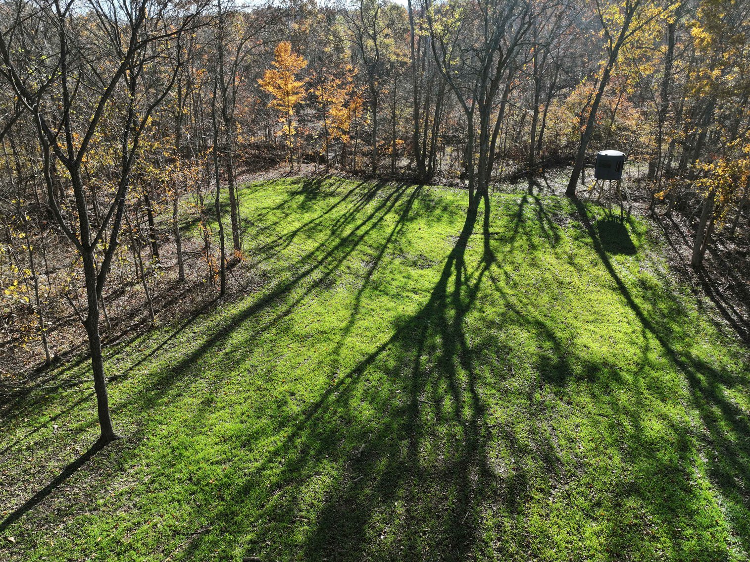 Image for 29.0 +/- Acres, Tract 2 Off BCR 930, Patton MO 63662, MLS # 25075221