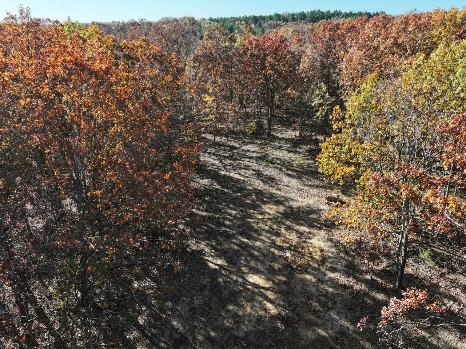 Image for 25.5 Acres +/-, Tract 1 Off BCR 930, Patton Missouri 63662, MLS #25075217