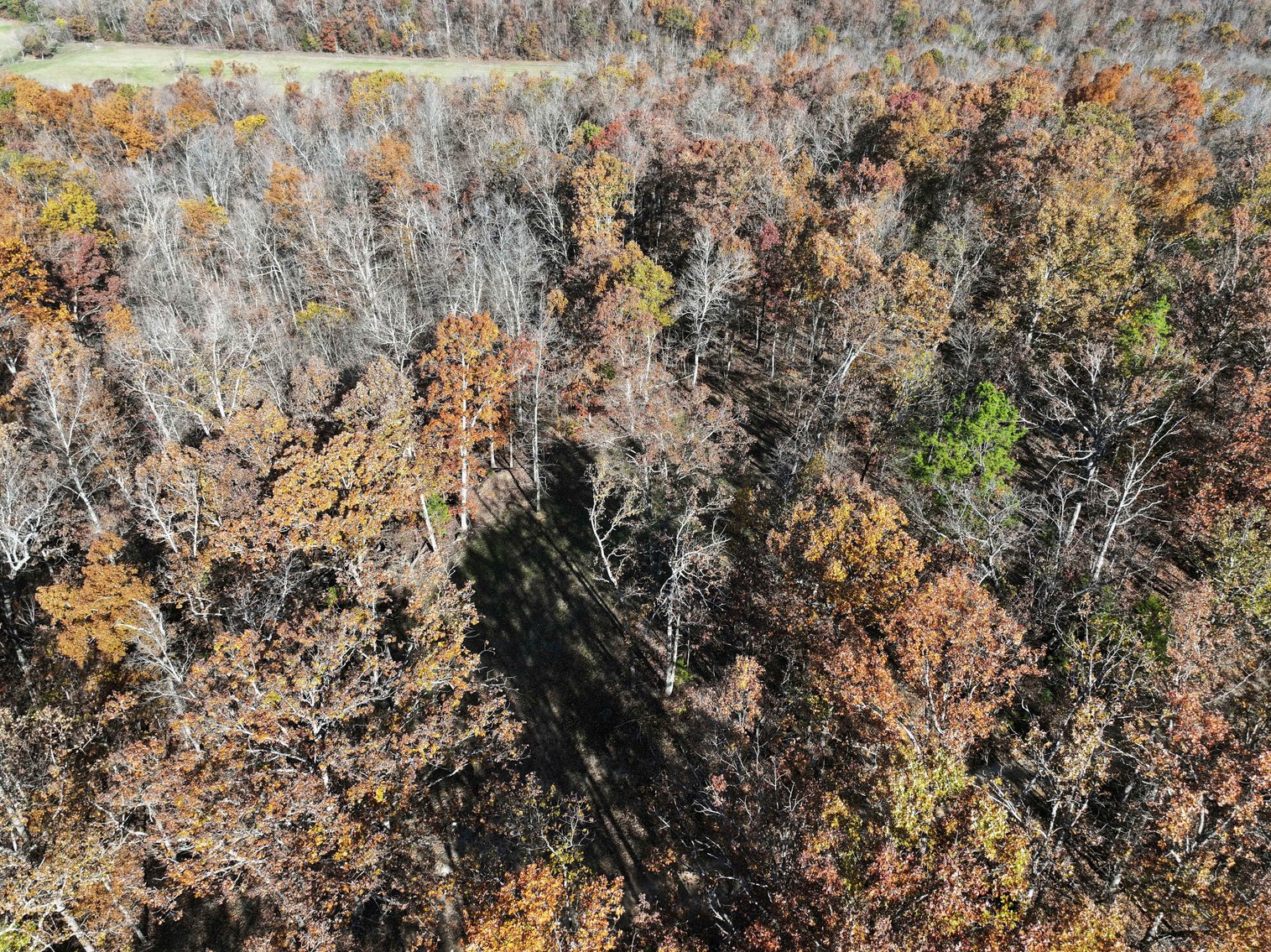 Image for 25.5 Acres +/-, Tract 1 Off BCR 930, Patton Missouri 63662, MLS #25075217