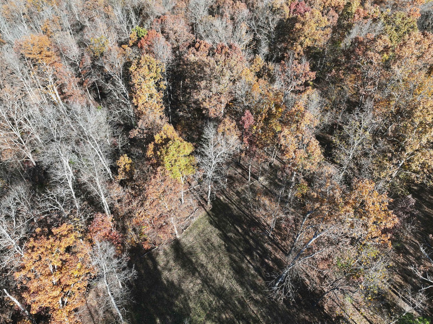 Image for 25.5 Acres +/-, Tract 1 Off BCR 930, Patton Missouri 63662, MLS #25075217