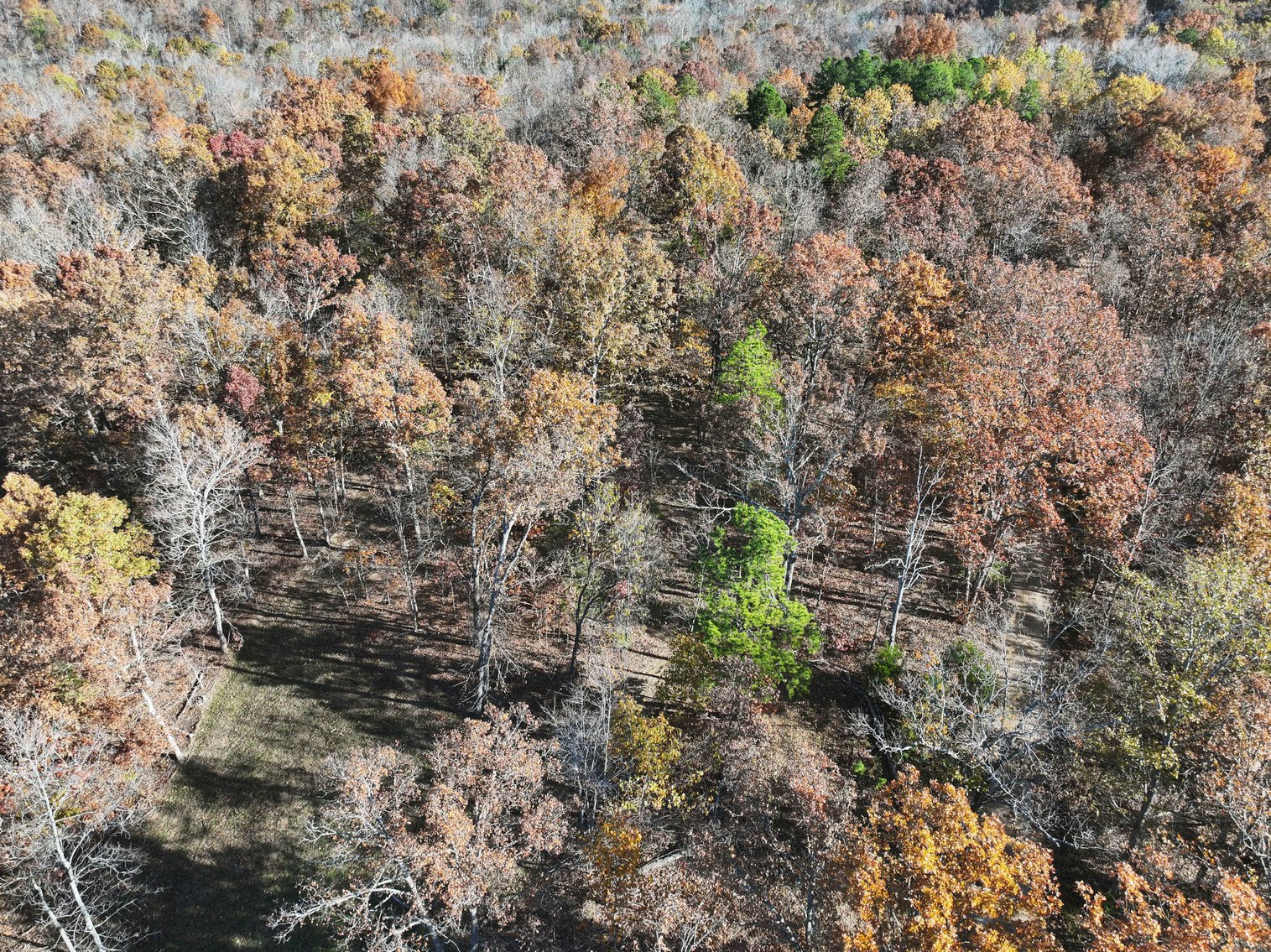 Image for 25.5 Acres +/-, Tract 1 Off BCR 930, Patton Missouri 63662, MLS #25075217