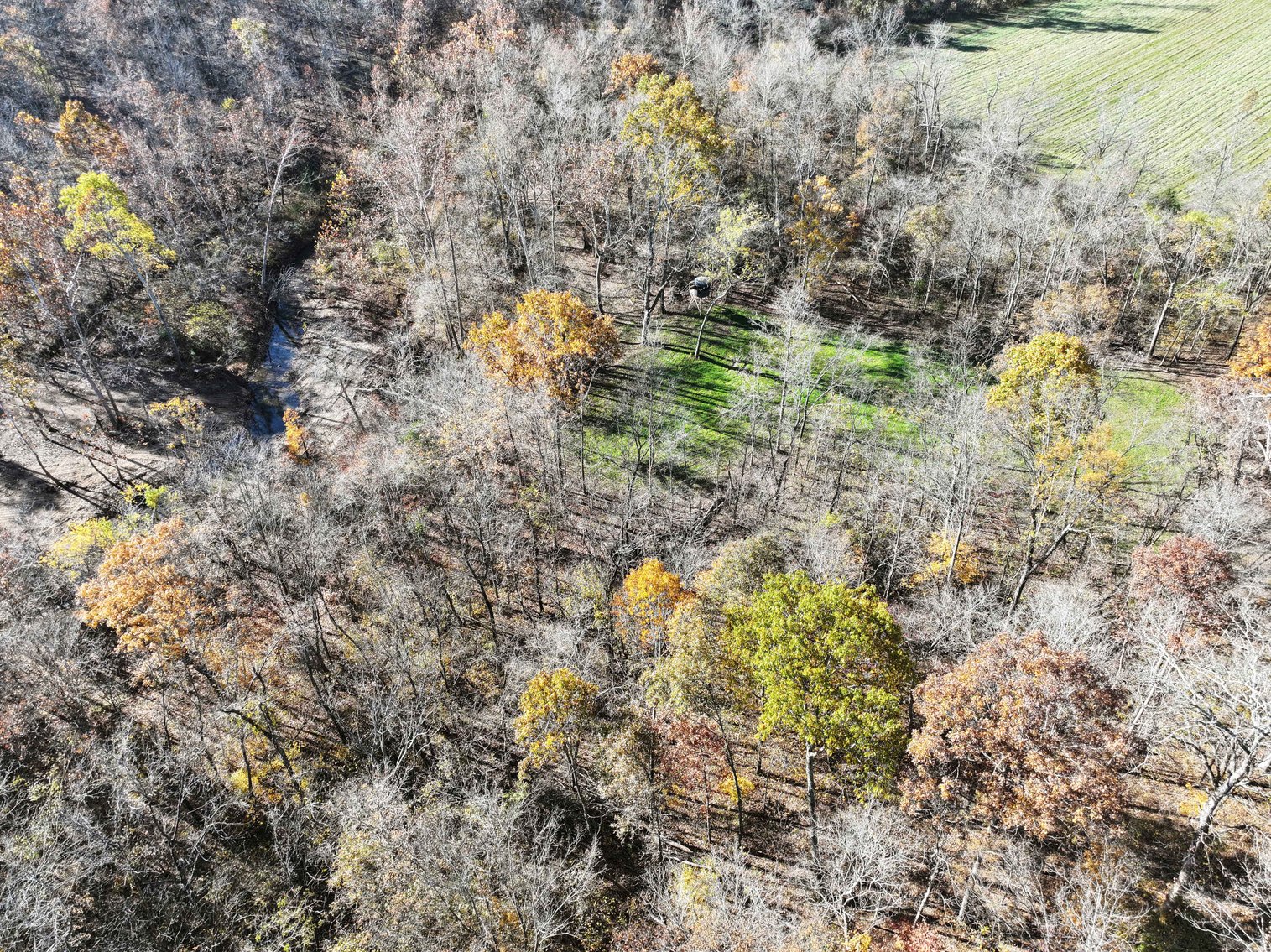 Image for 25.5 Acres +/-, Tract 1 Off BCR 930, Patton Missouri 63662, MLS #25075217