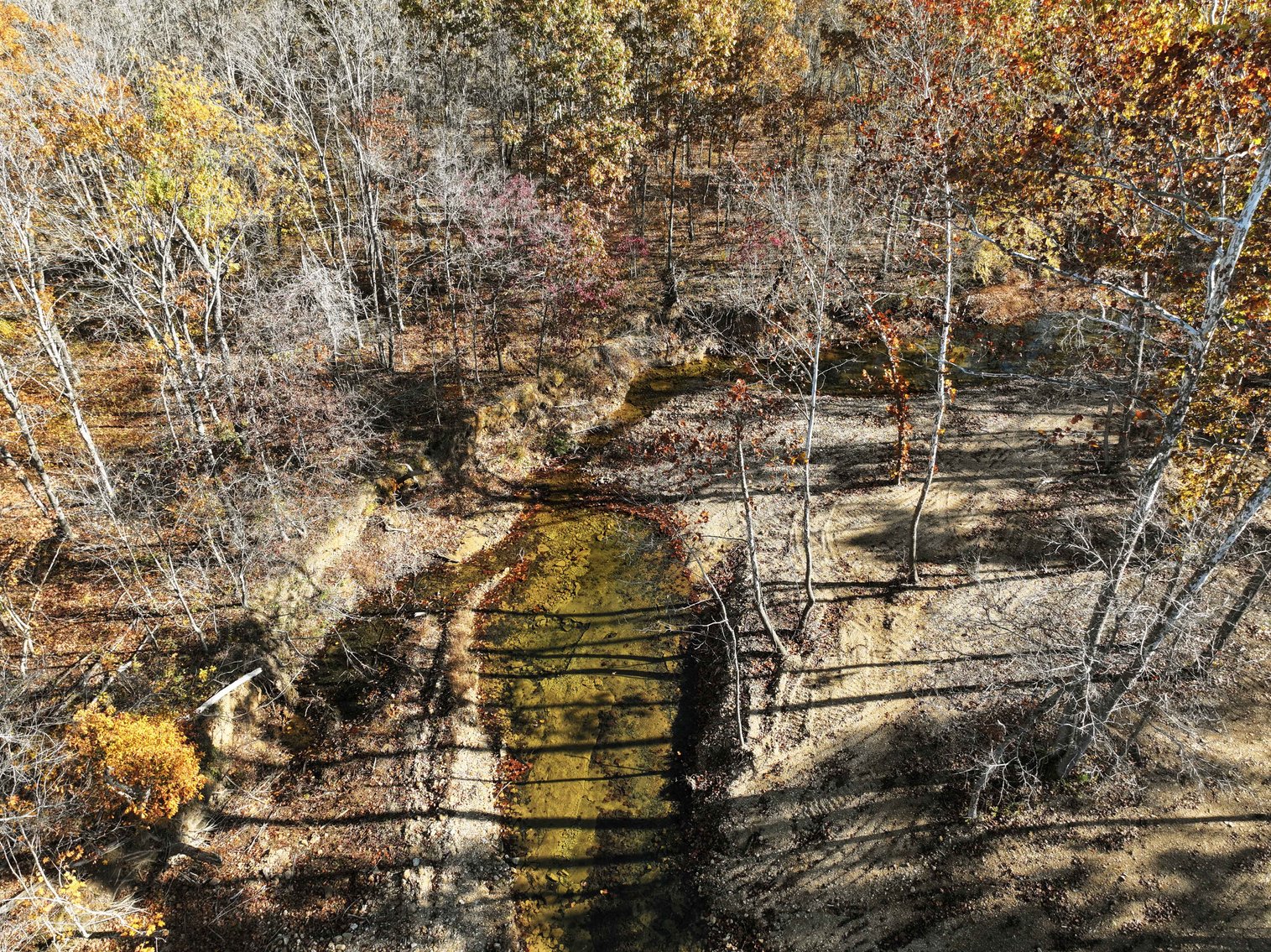 Image for 25.5 Acres +/-, Tract 1 Off BCR 930, Patton Missouri 63662, MLS #25075217